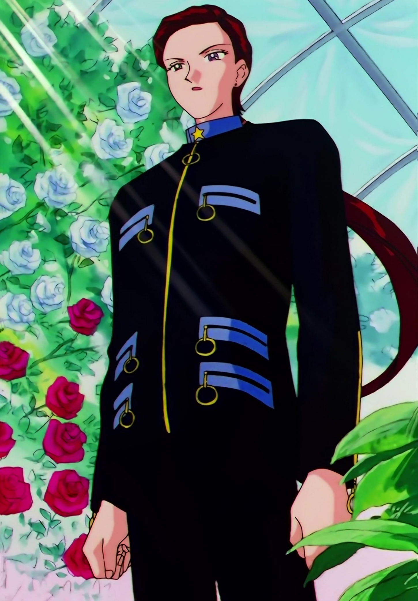 Sailor Moon Stars Stitch 0670.jpg
