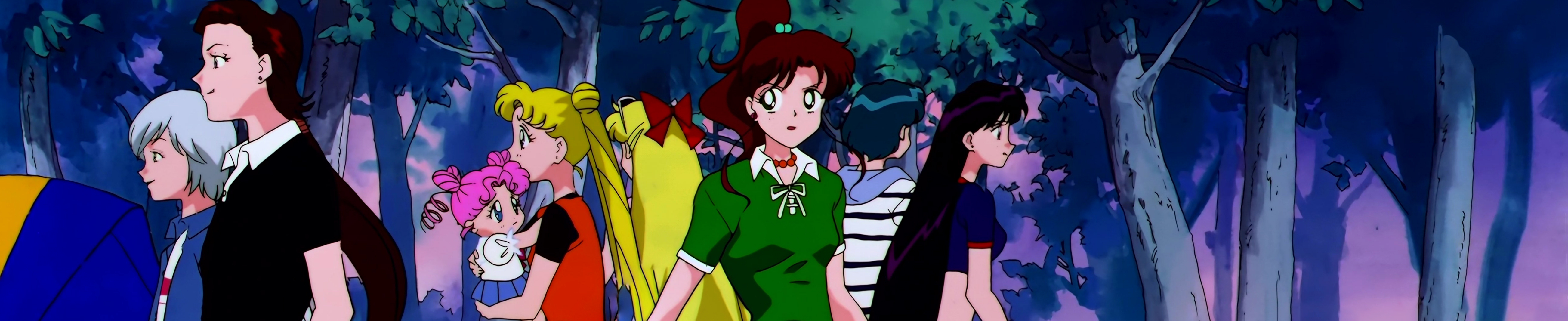 Sailor Moon Stars Stitch 0874.jpg
