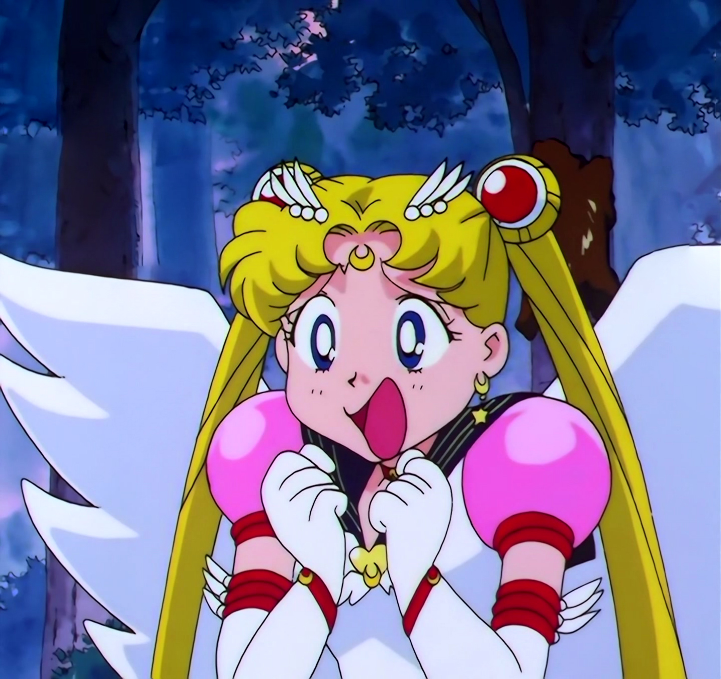 Sailor Moon Stars Stitch 0883.jpg