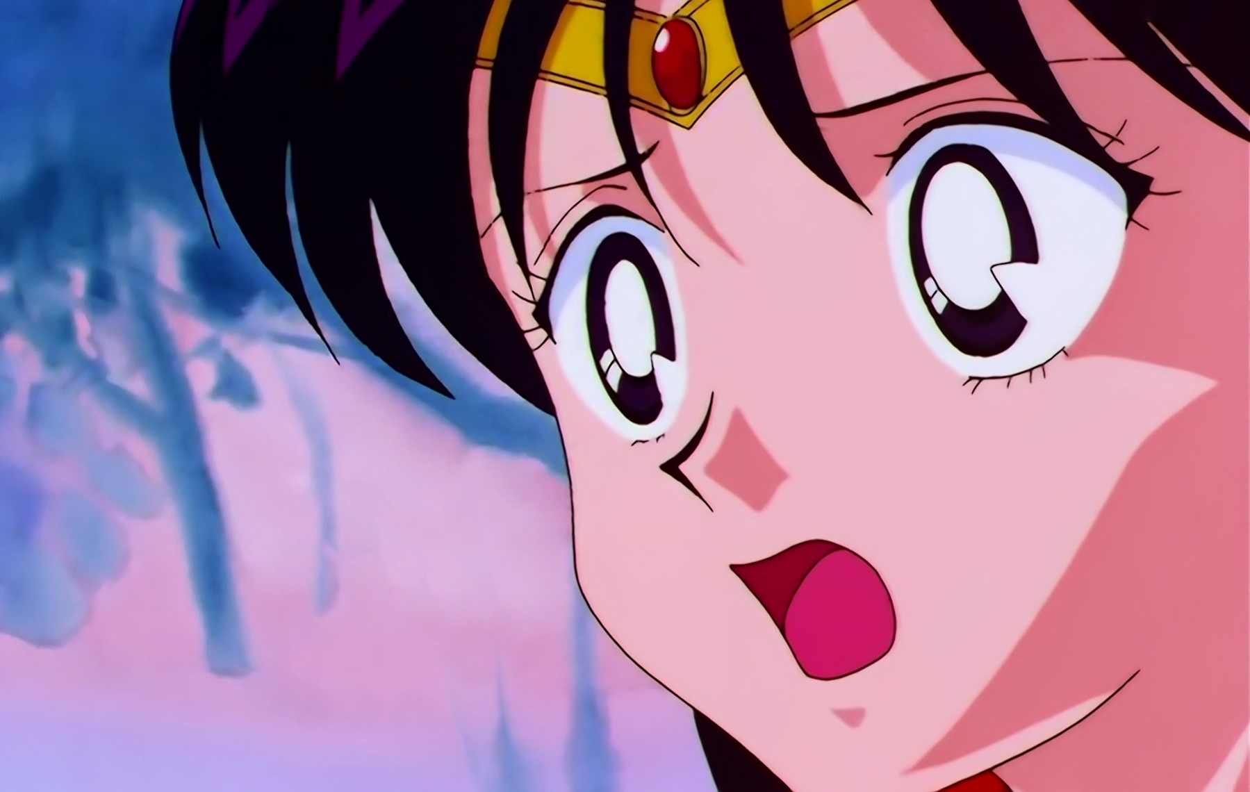 Sailor Moon Stars Stitch 0884.jpg