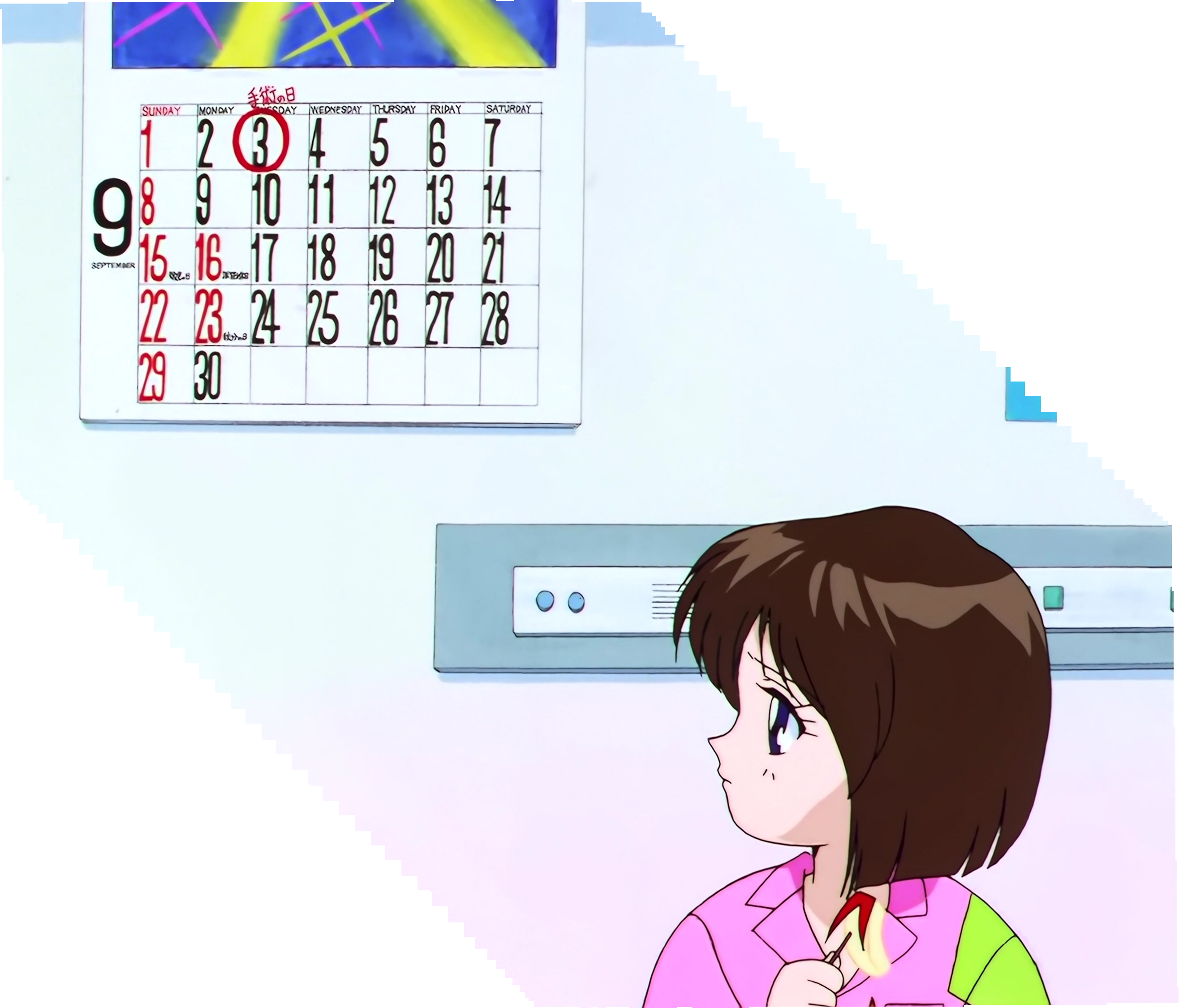 Sailor Moon Stars Stitch 0916.jpg