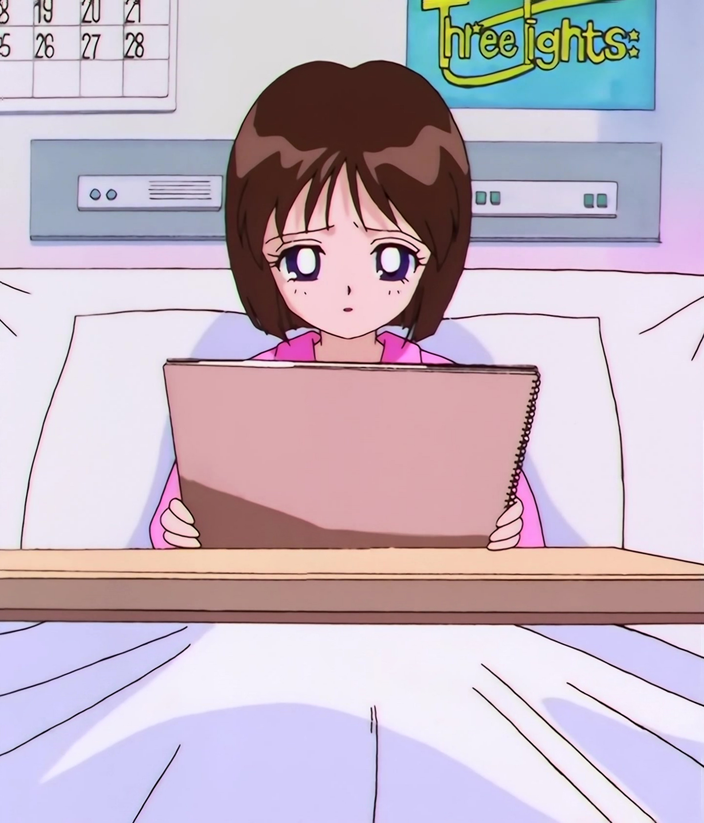 Sailor Moon Stars Stitch 0931.jpg