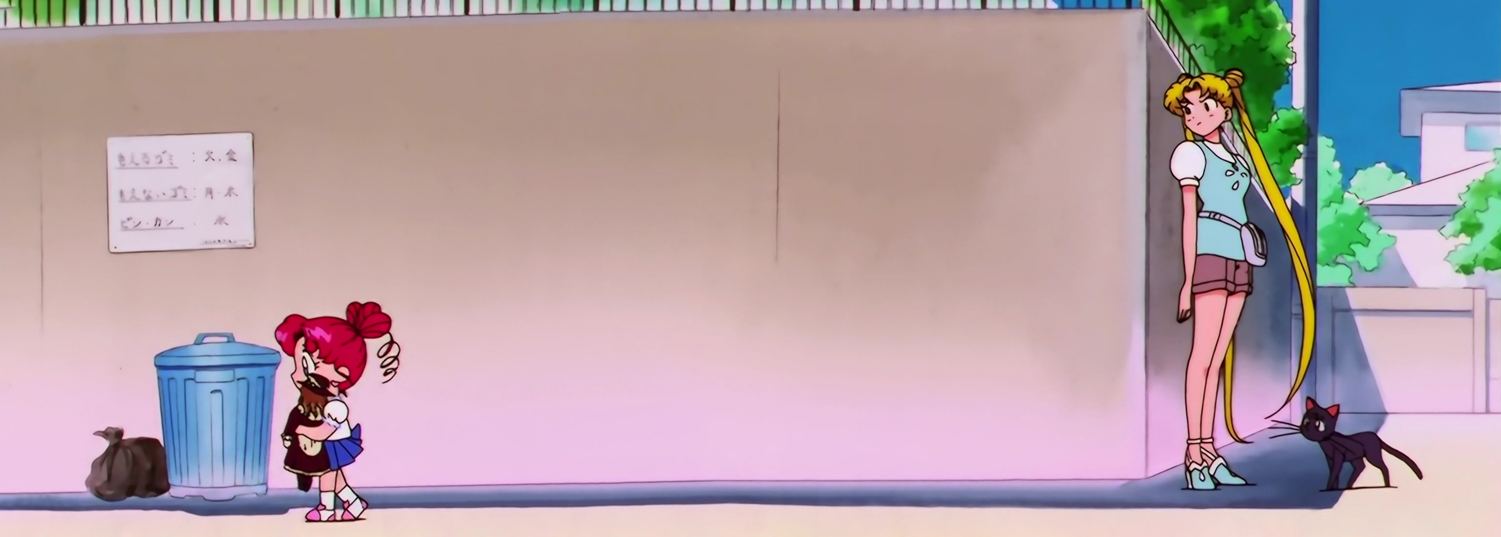 Sailor Moon Stars Stitch 0978.jpg