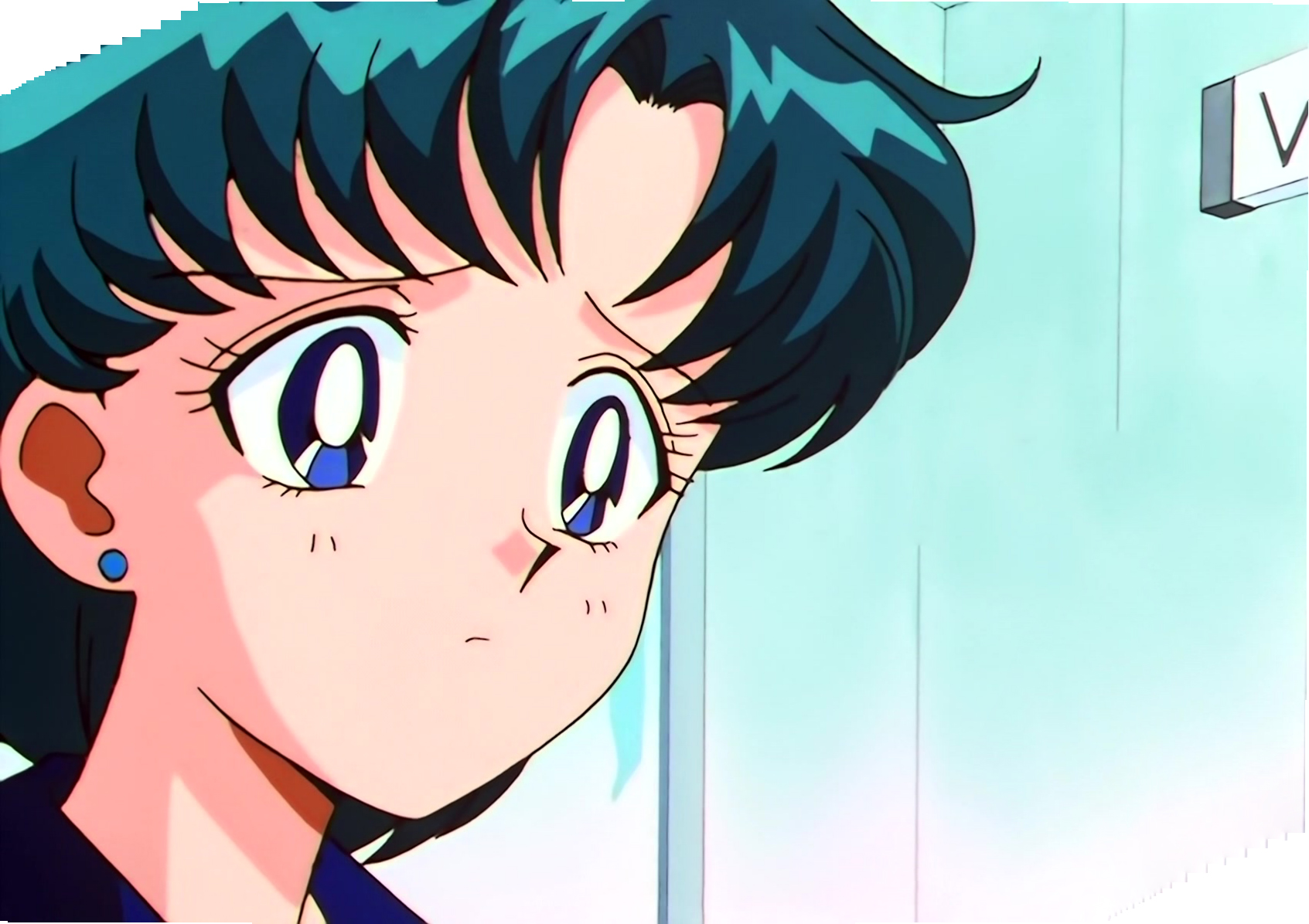 Sailor Moon Stars Stitch 1131.jpg