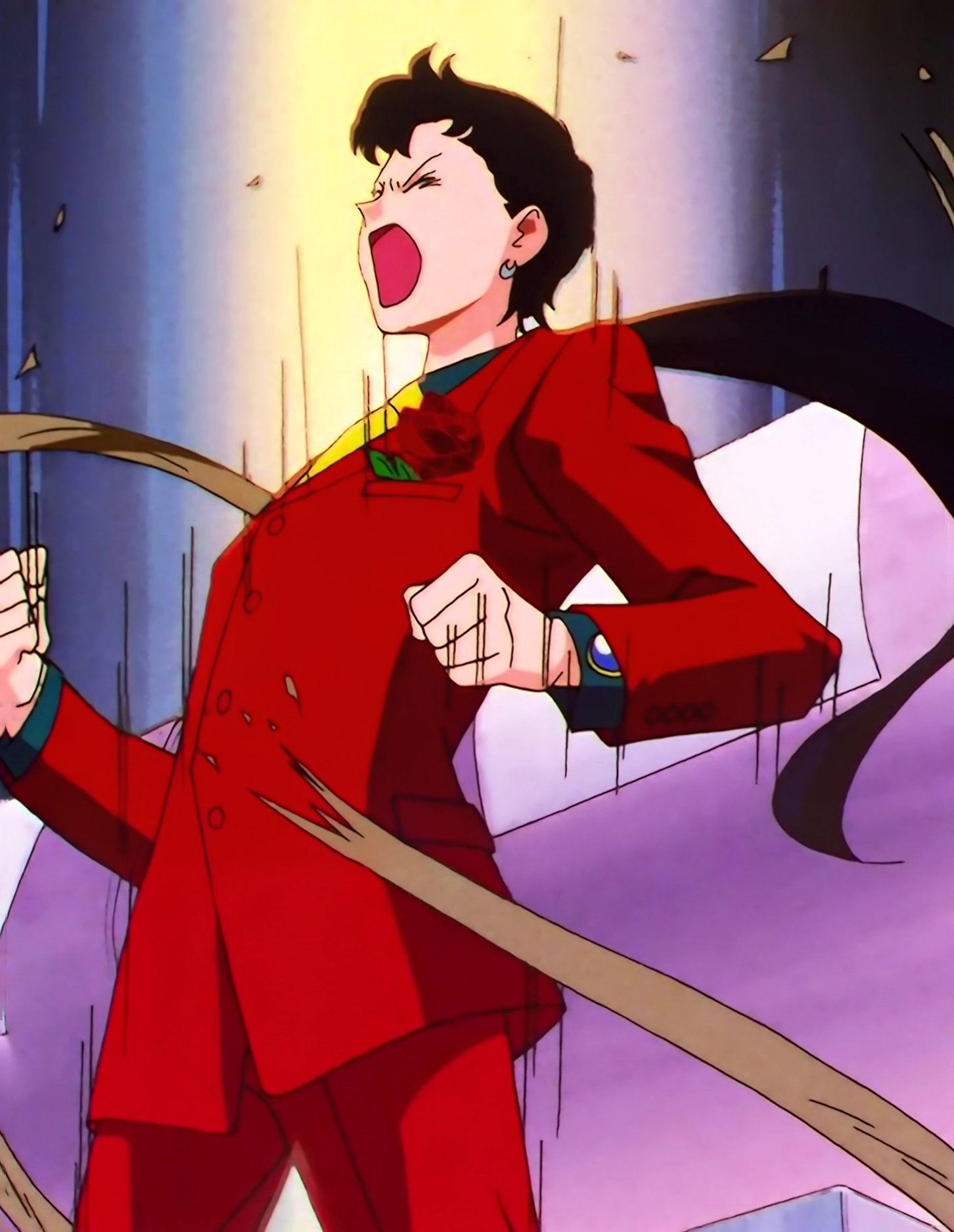 Sailor Moon Stars Stitch 1153.jpg