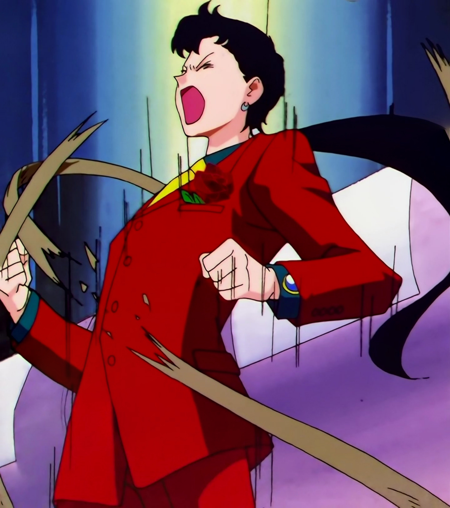Sailor Moon Stars Stitch 1157.jpg