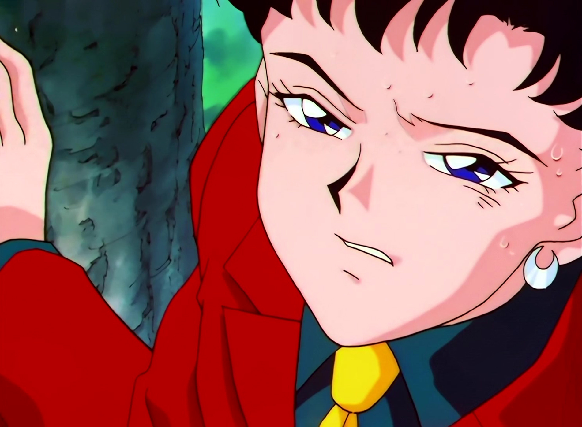 Sailor Moon Stars Stitch 1273.jpg