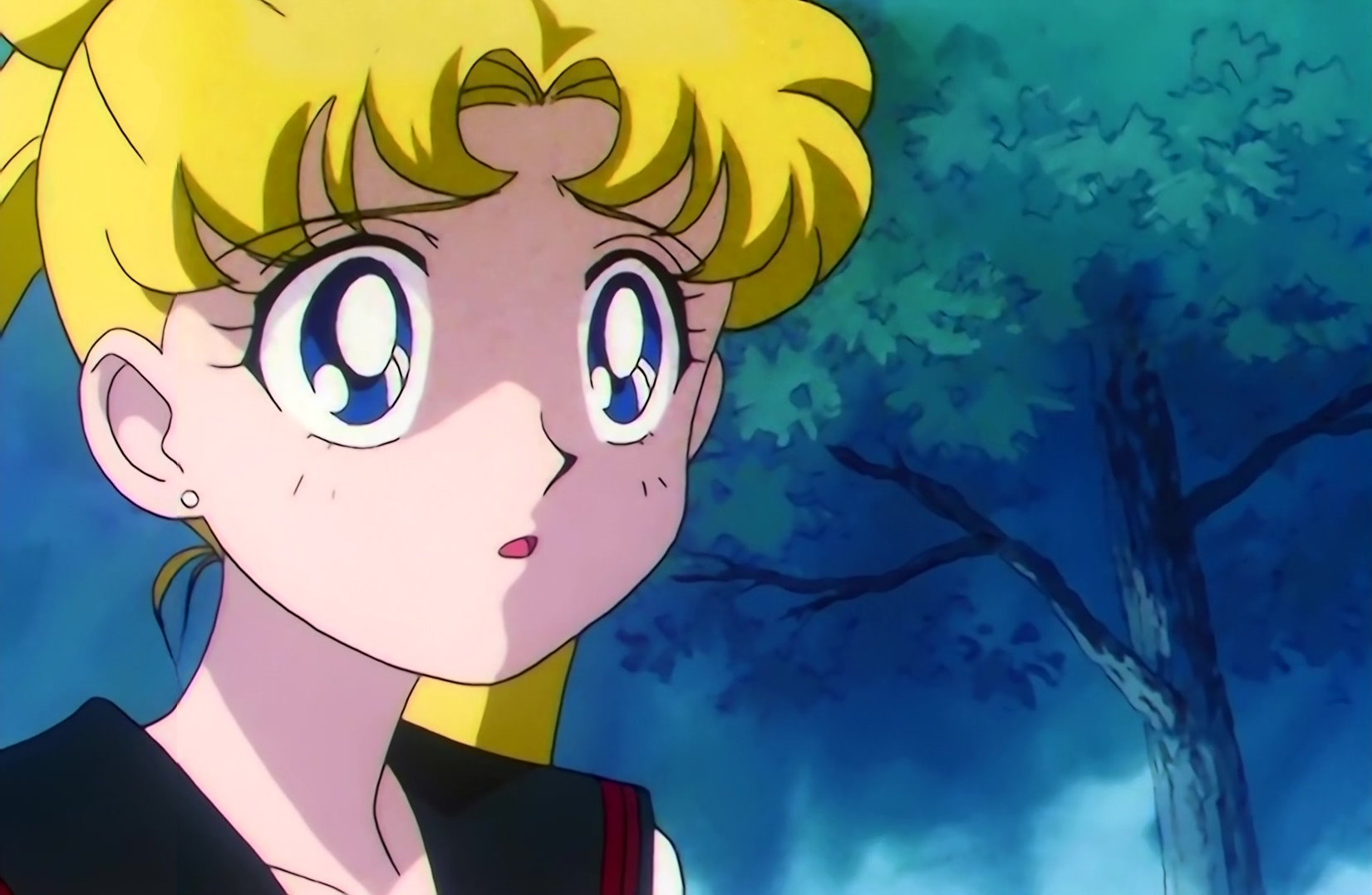 Sailor Moon Stars Stitch 1295.jpg