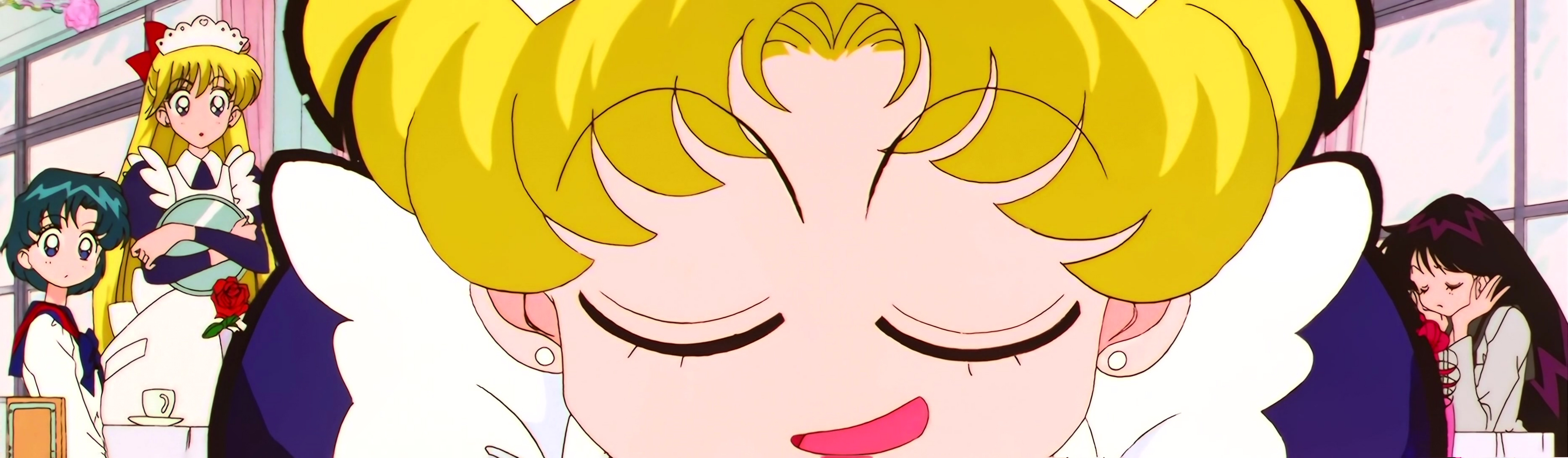 Sailor Moon Stars Stitch 1481.jpg