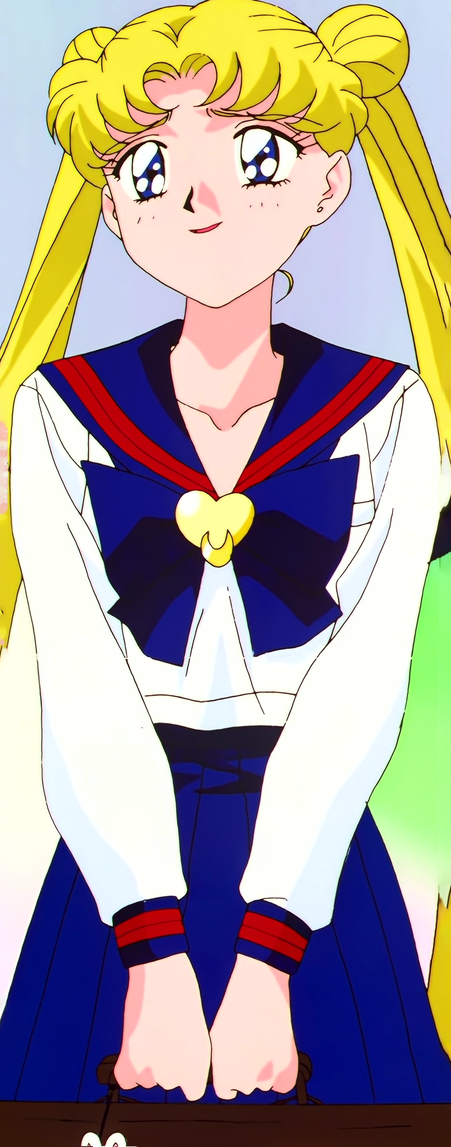 Sailor Moon Stars Stitch 1555.jpg