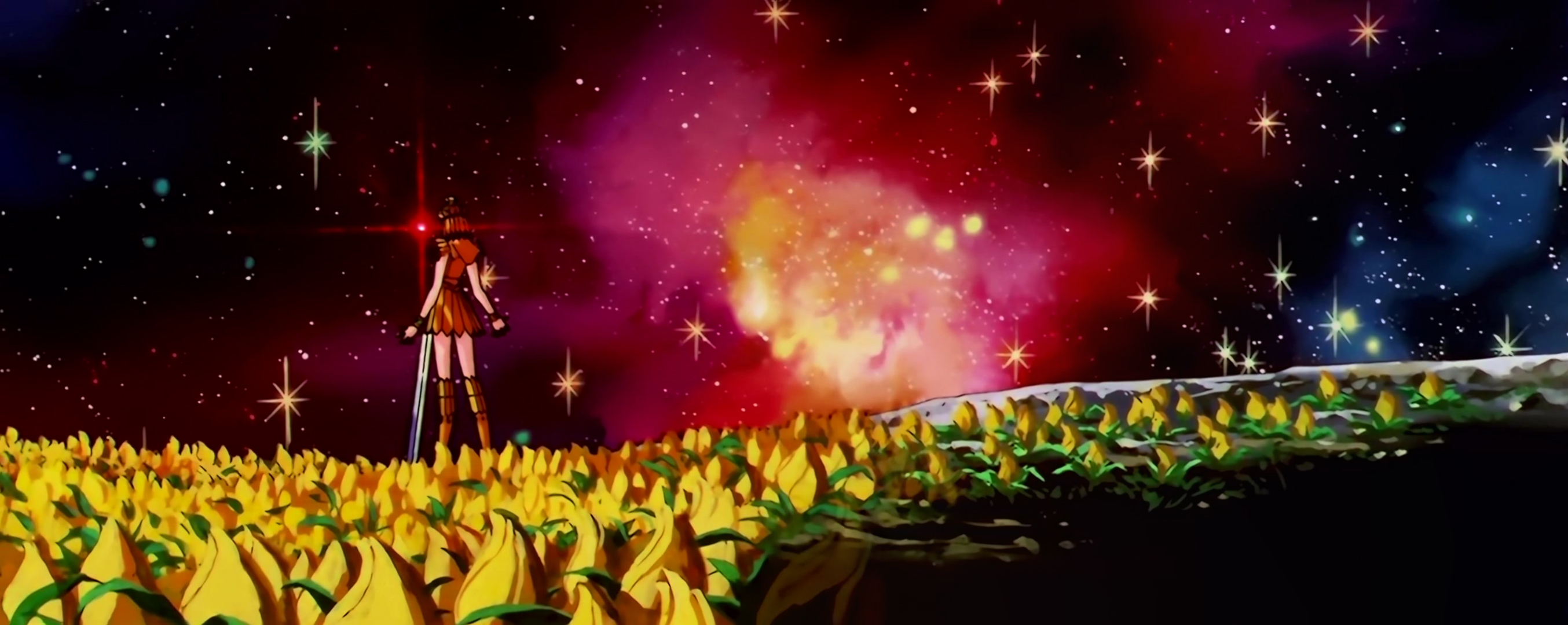 Sailor Moon Stars Stitch 1817.jpg