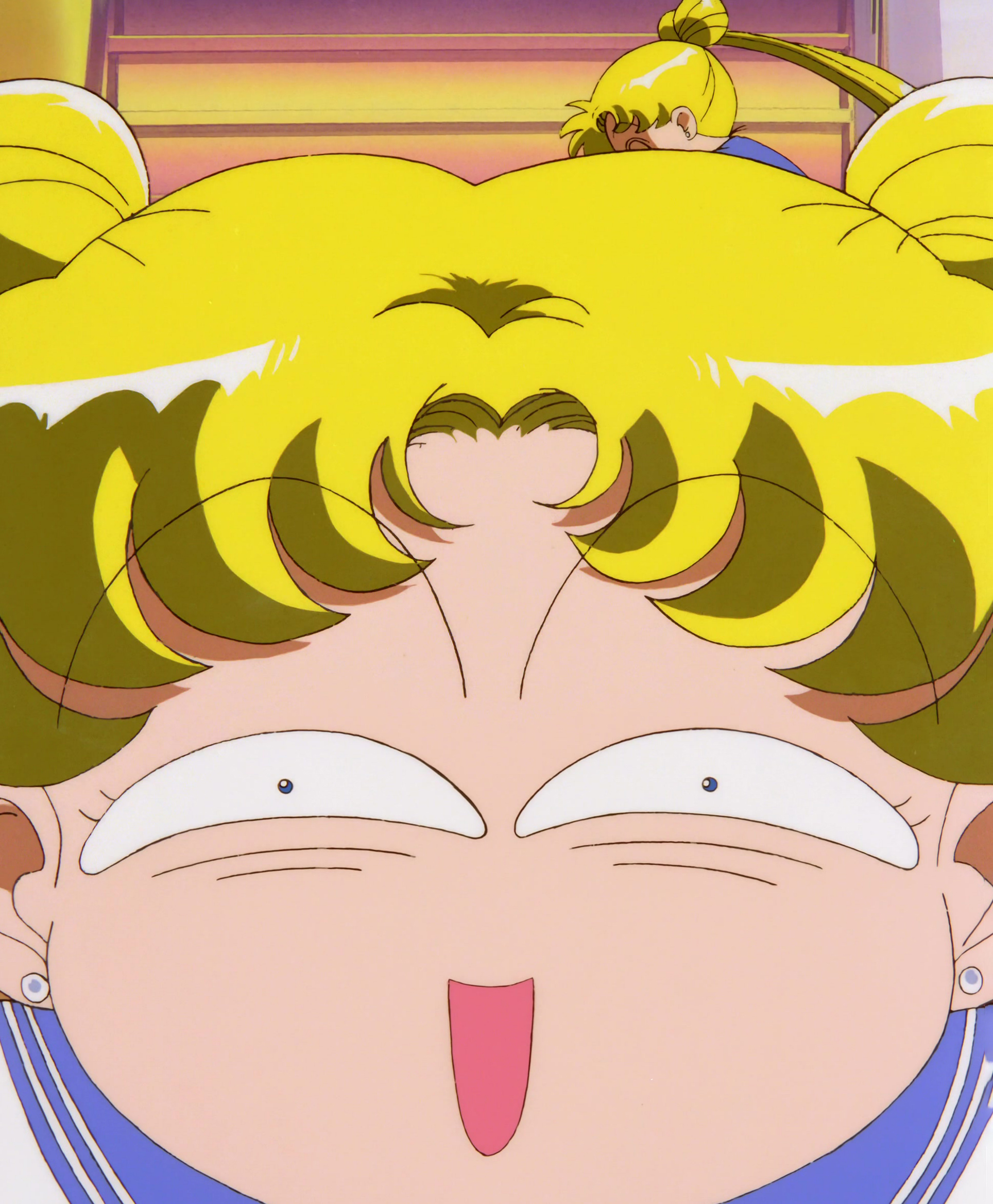 Sailor Moon SuperS Movie Special Stitch 13.jpg