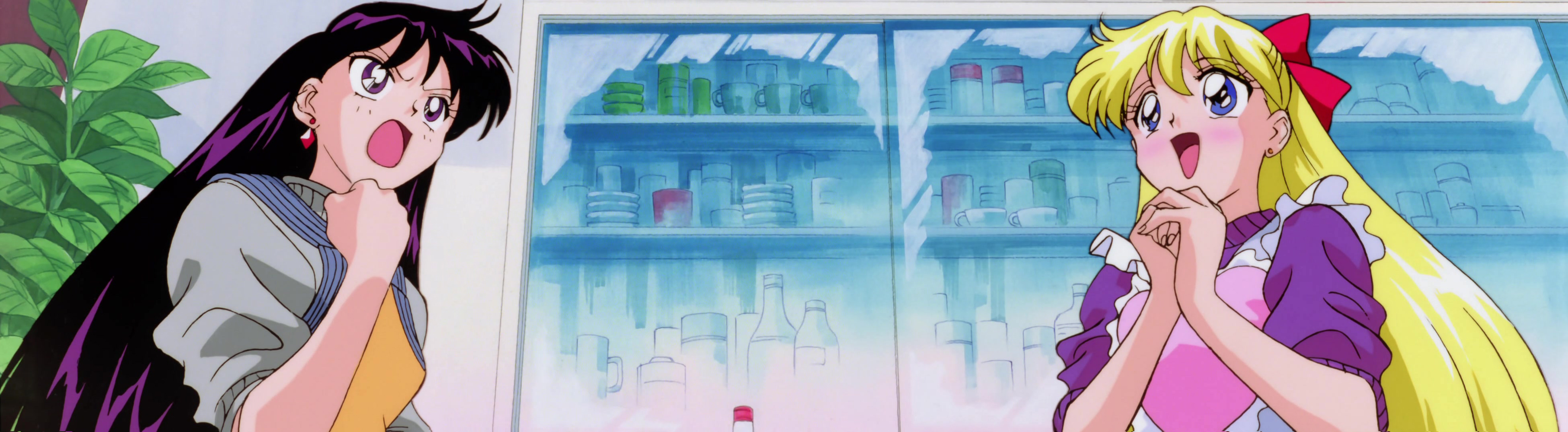 Sailor Moon SuperS Movie Stitch 08.jpg