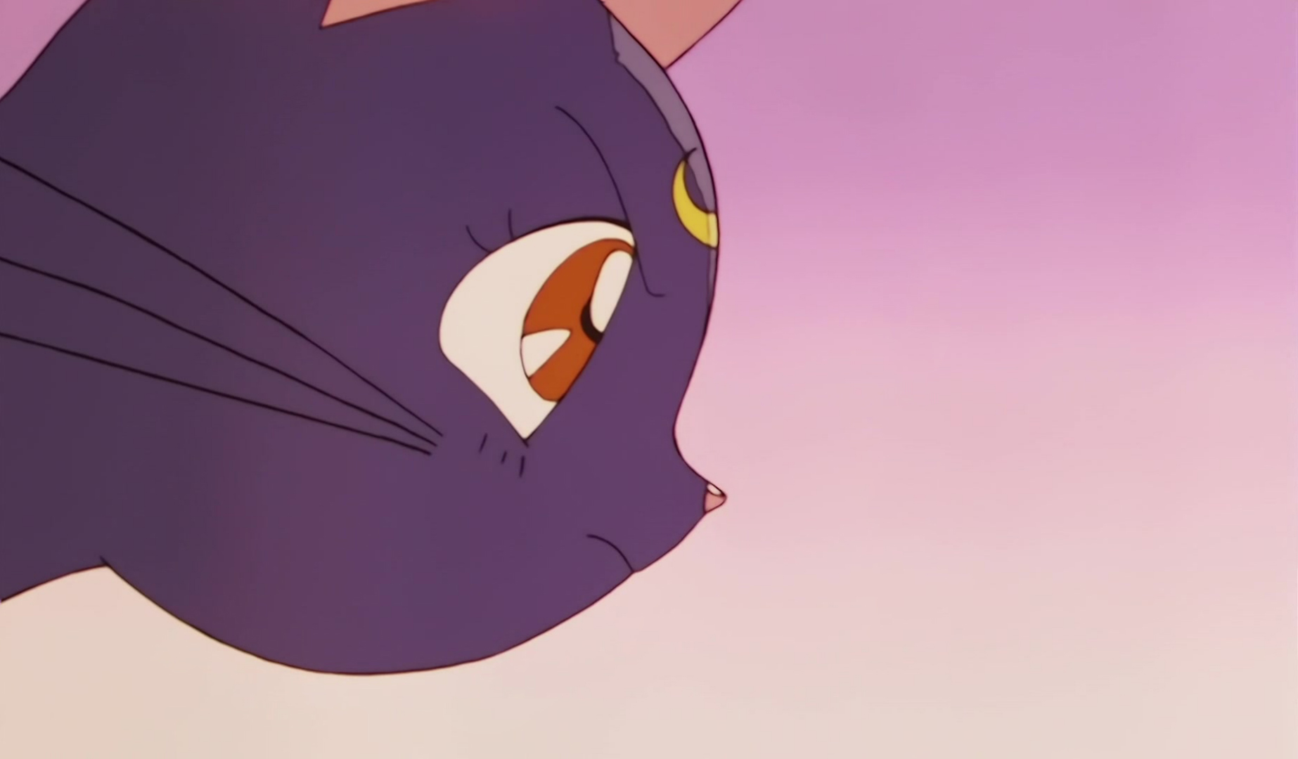 Sailor Moon Supers Special Stitch Part 1 06.jpg