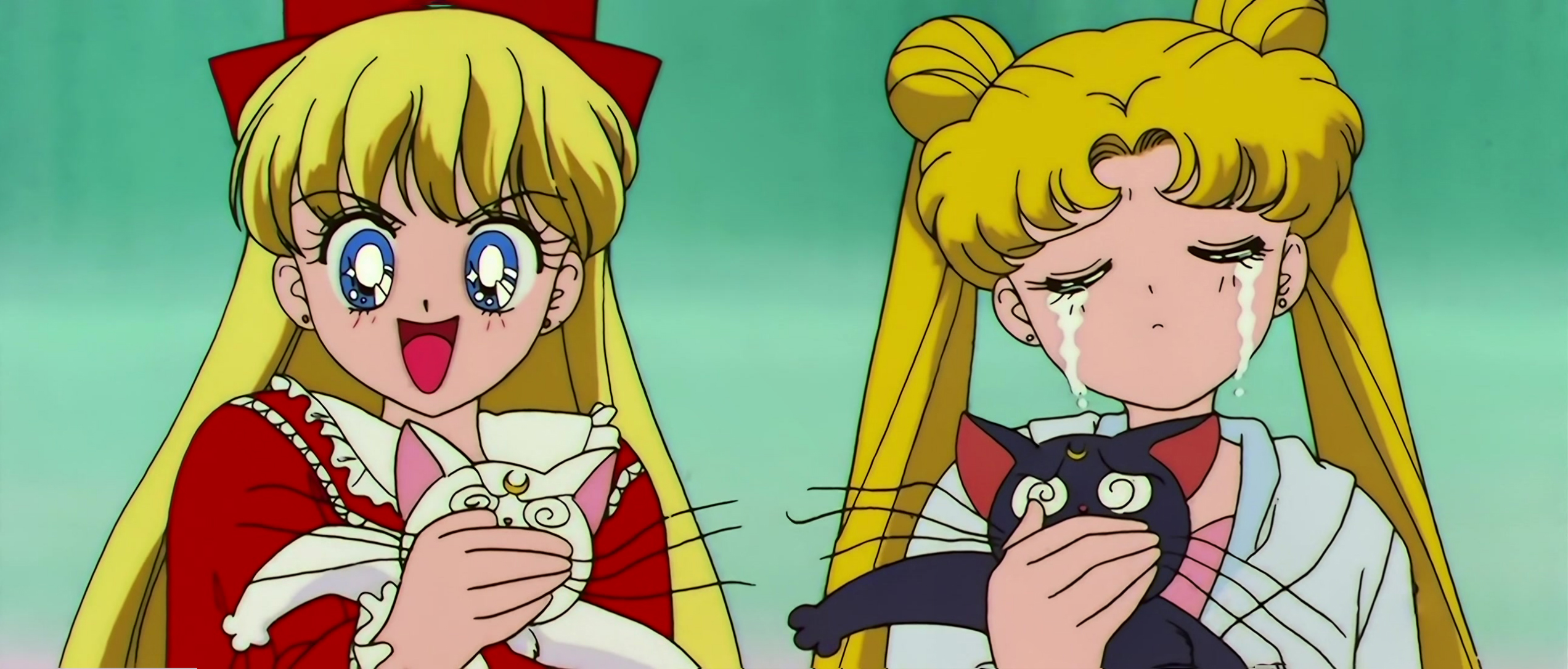 Sailor Moon SuperS Stitch 0037.jpg