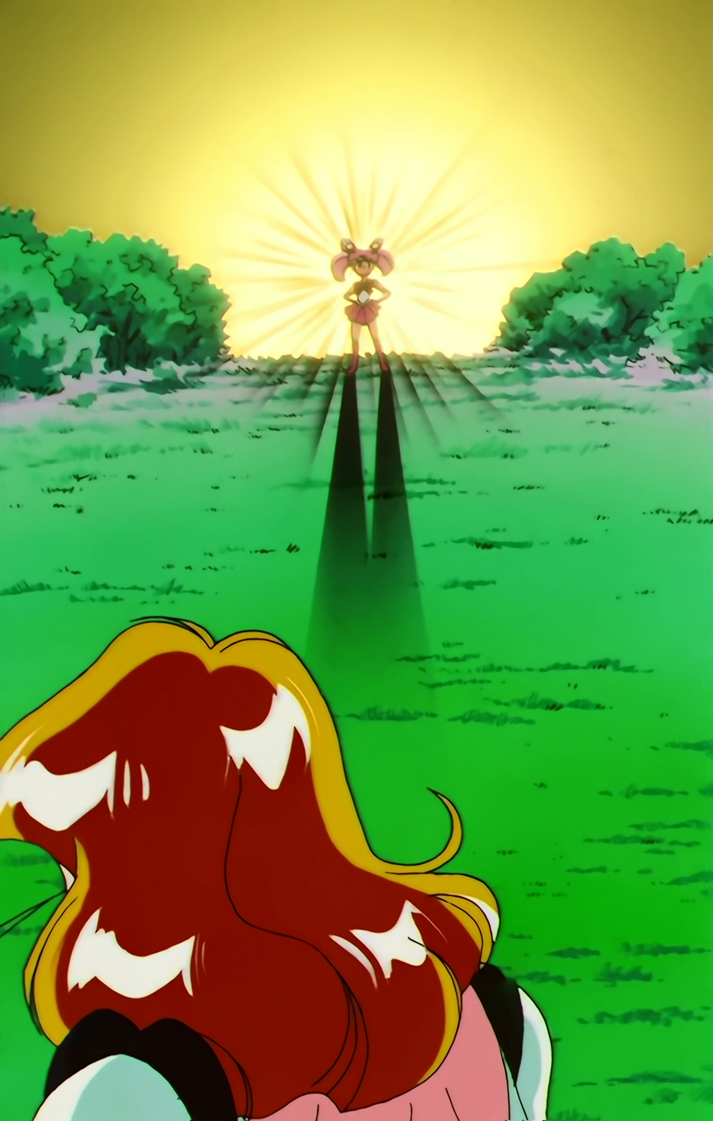 Sailor Moon SuperS Stitch 0045.jpg