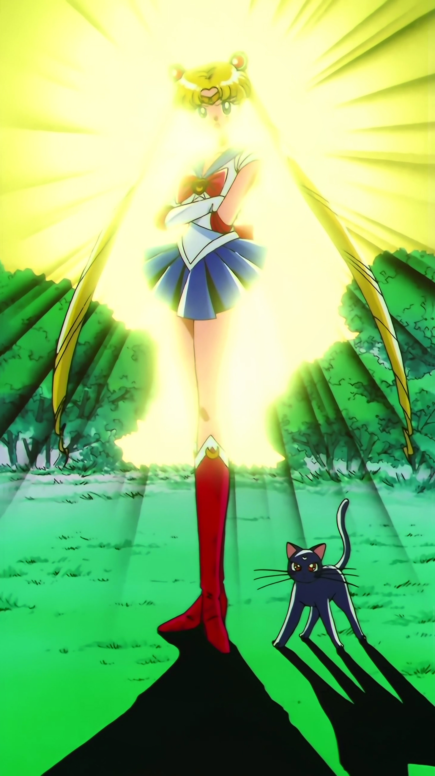 Sailor Moon SuperS Stitch 0048.jpg
