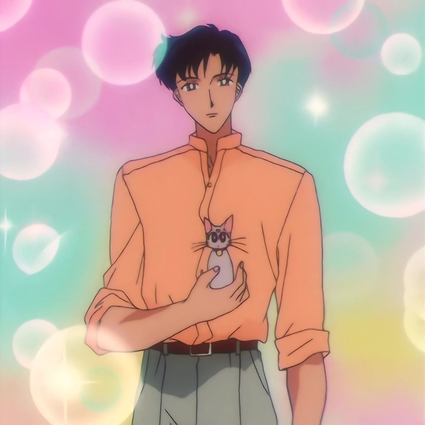 Sailor Moon SuperS Stitch 0179.jpg