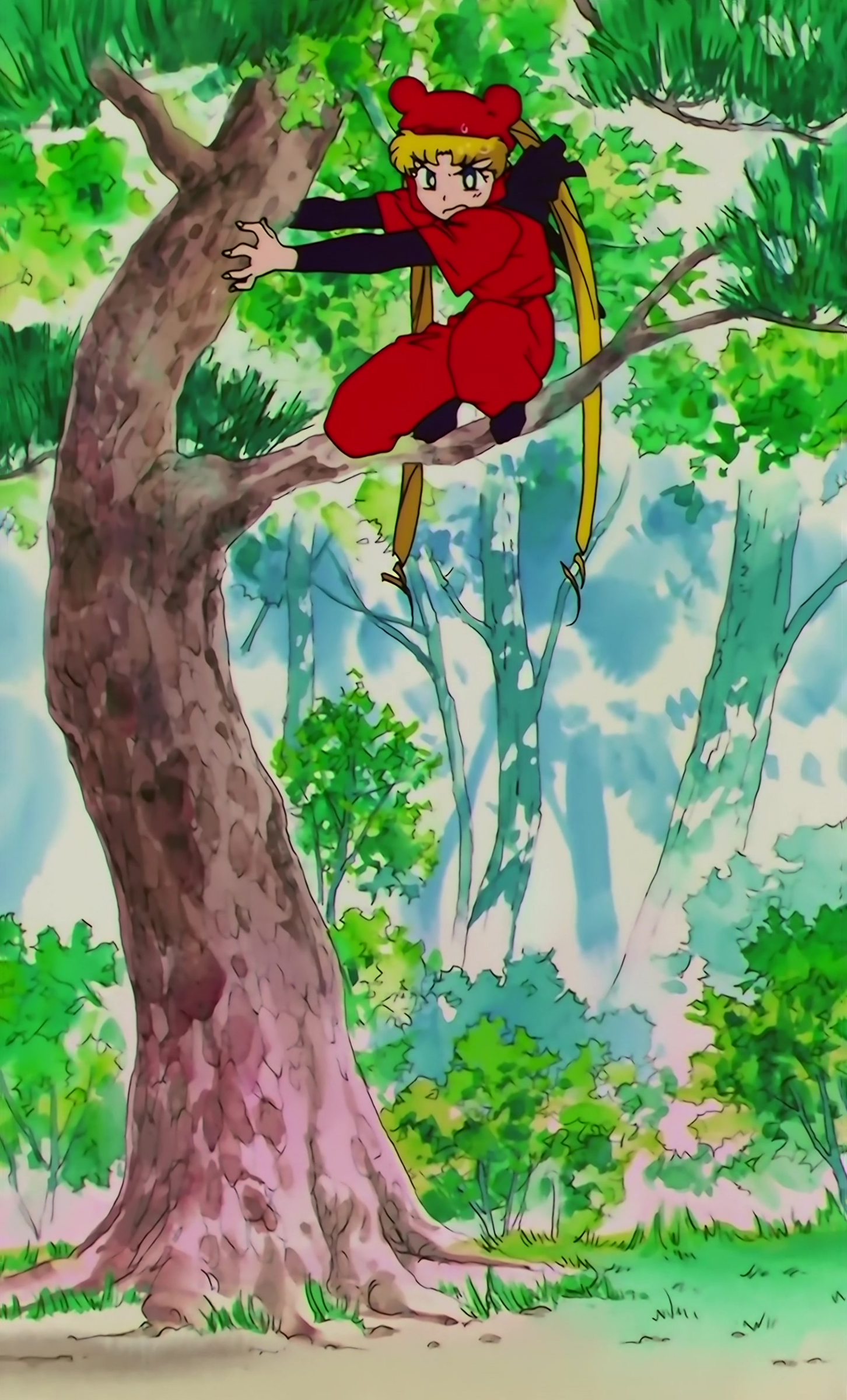 Sailor Moon SuperS Stitch 0187.jpg