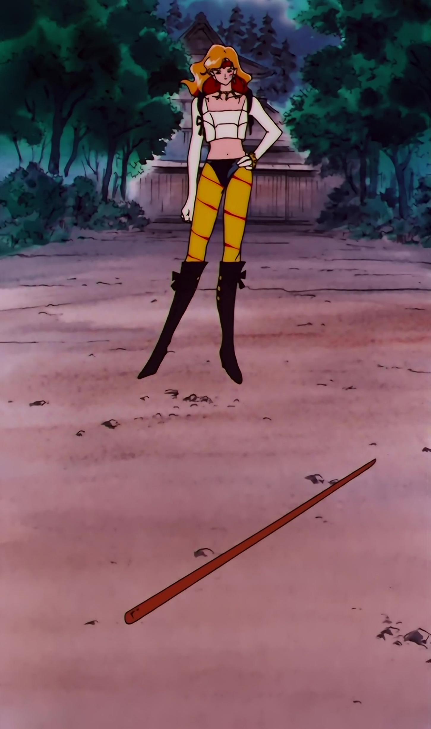 Sailor Moon SuperS Stitch 0253.jpg