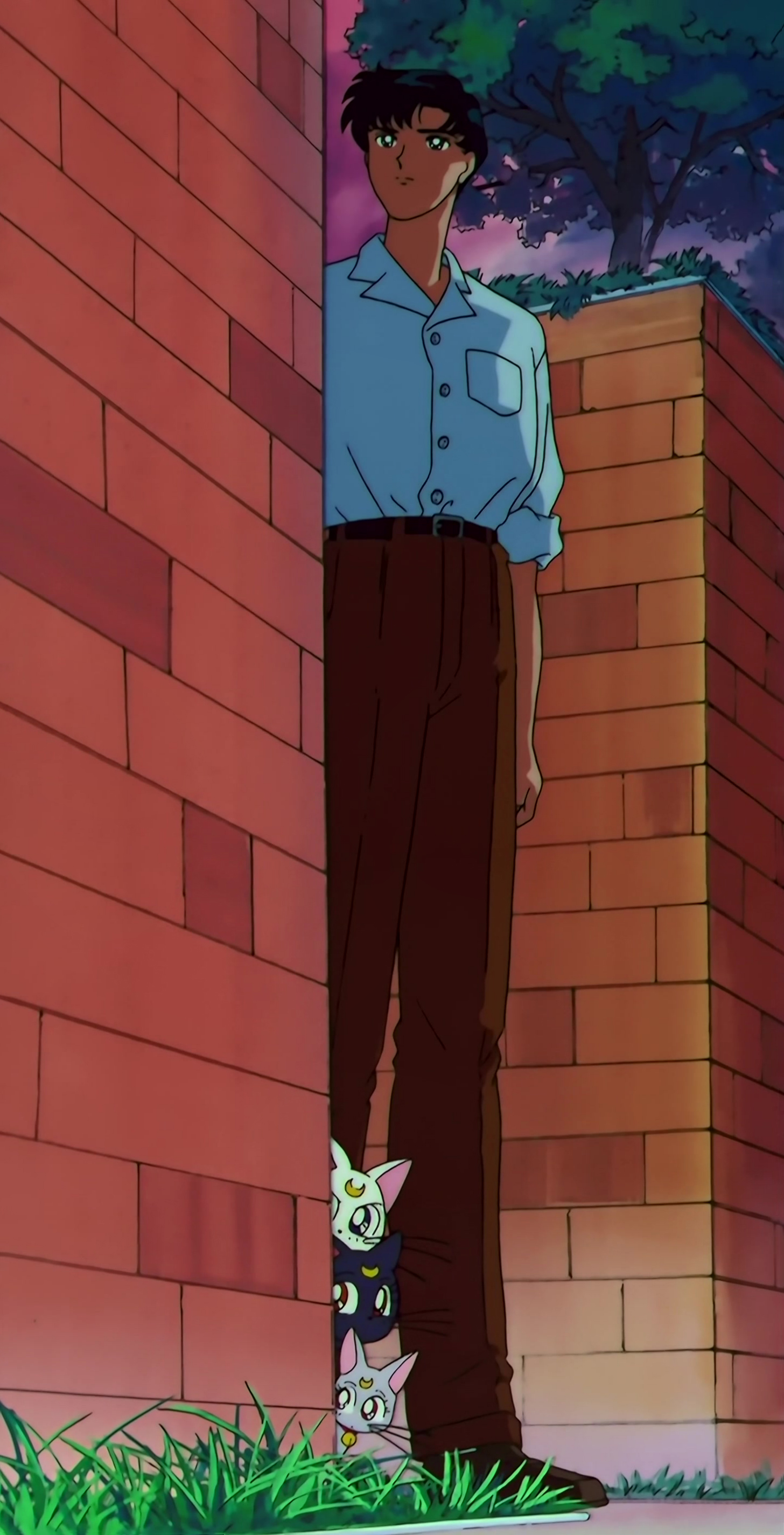 Sailor Moon SuperS Stitch 0476.jpg