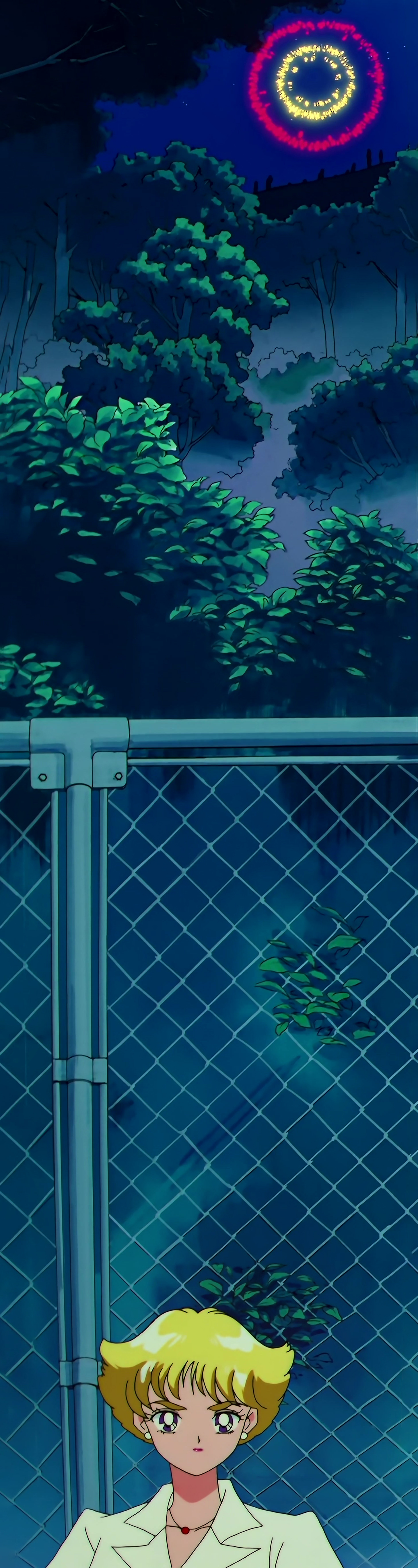 Sailor Moon SuperS Stitch 0478.jpg