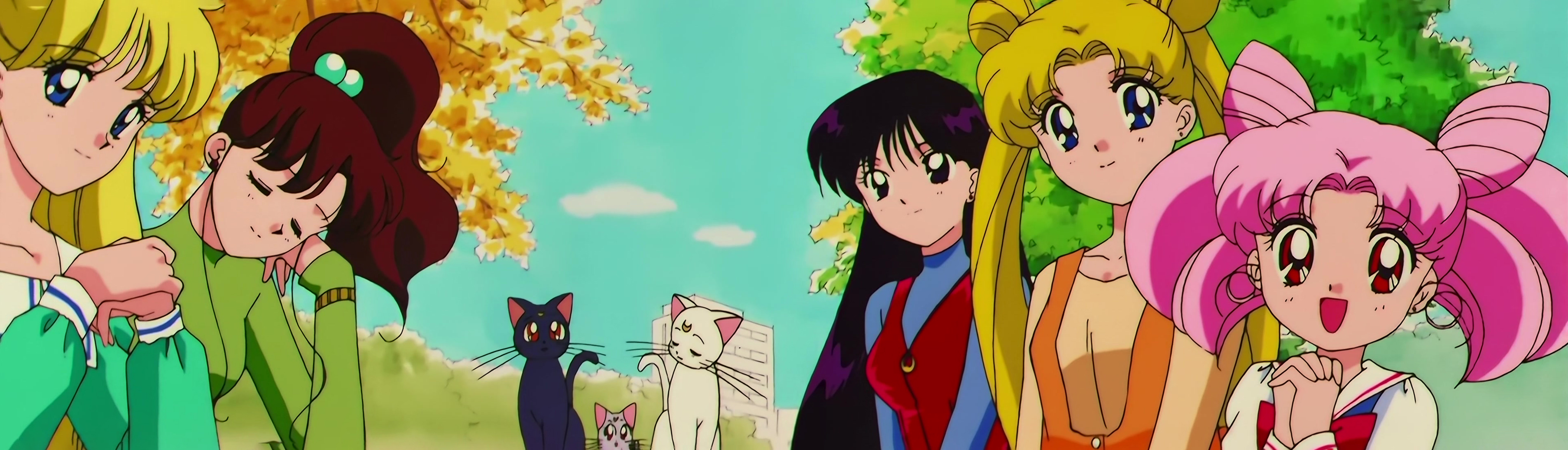 Sailor Moon SuperS Stitch 0612.jpg