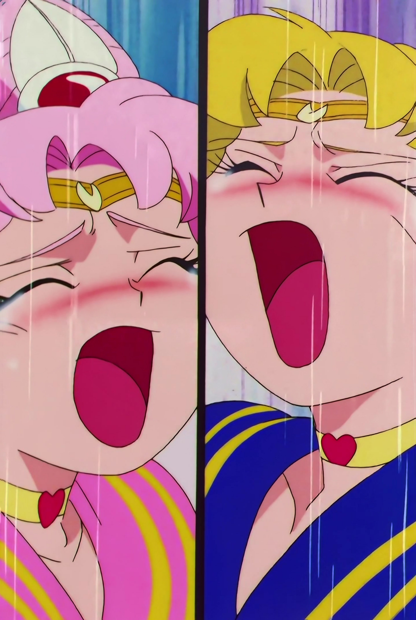 Sailor Moon SuperS Stitch 0755.jpg