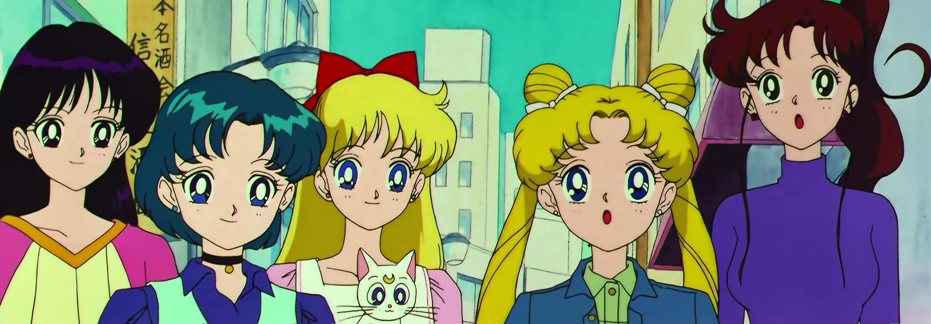 Sailor Moon SuperS Stitch 0760.jpg