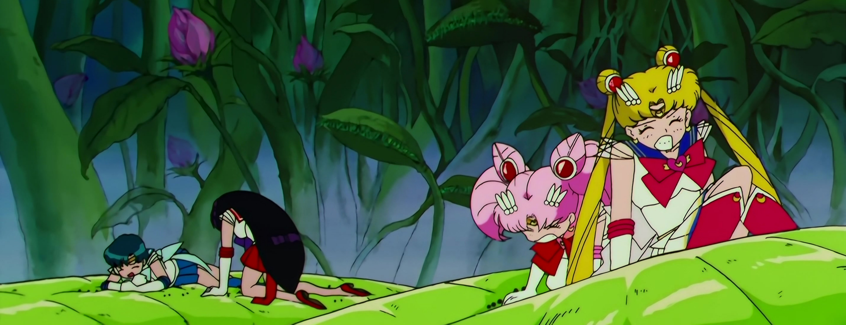 Sailor Moon SuperS Stitch 0793.jpg