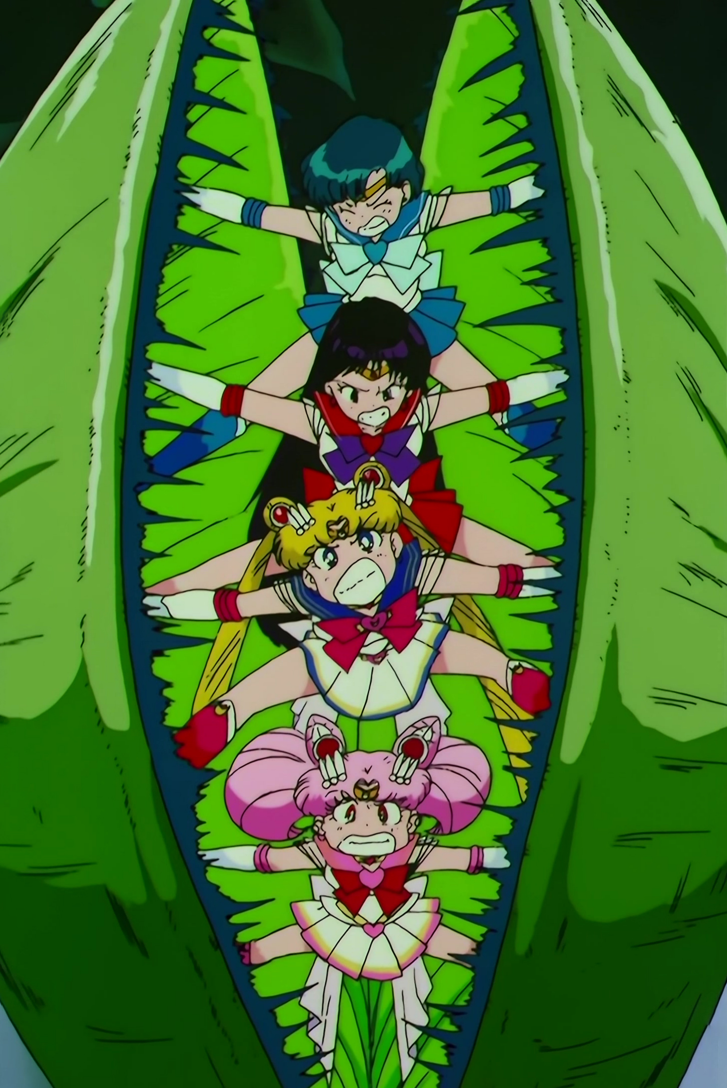 Sailor Moon SuperS Stitch 0794.jpg
