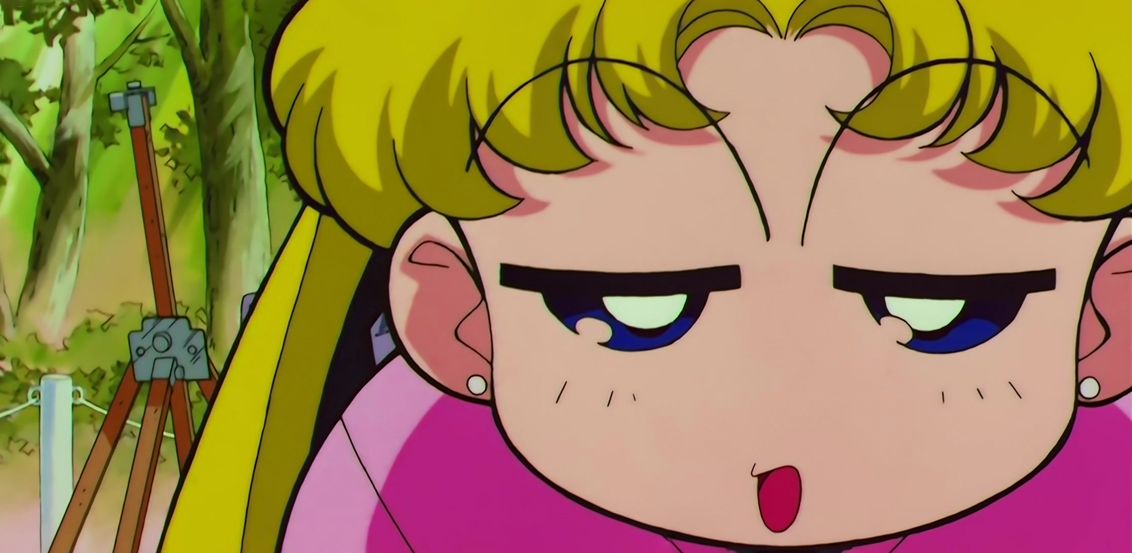 Sailor Moon SuperS Stitch 0887.jpg
