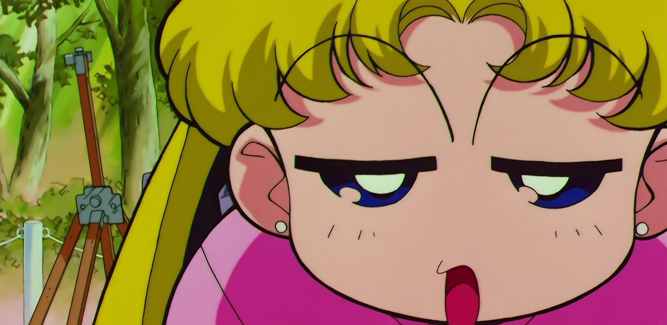 Sailor Moon SuperS Stitch 0888.jpg