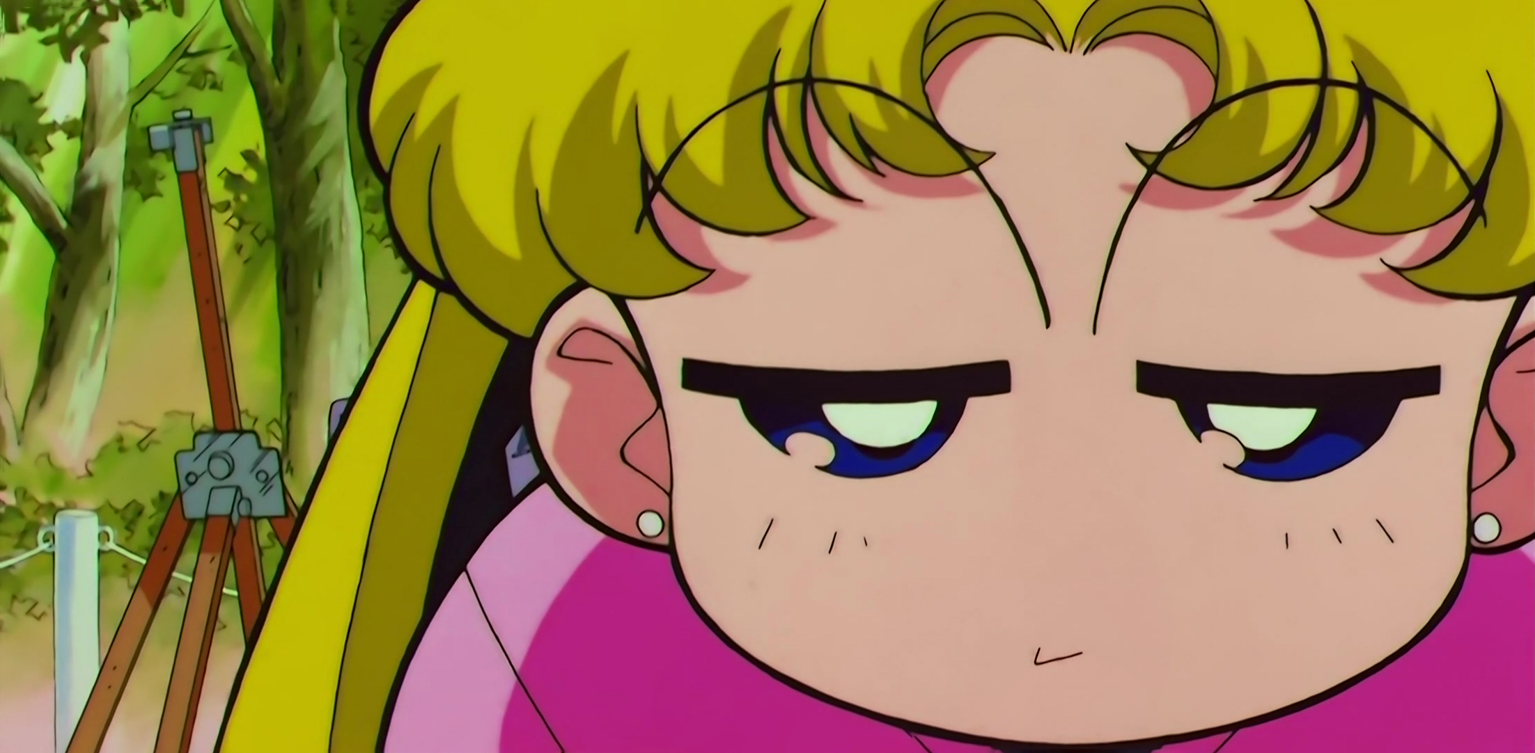 Sailor Moon SuperS Stitch 0889.jpg
