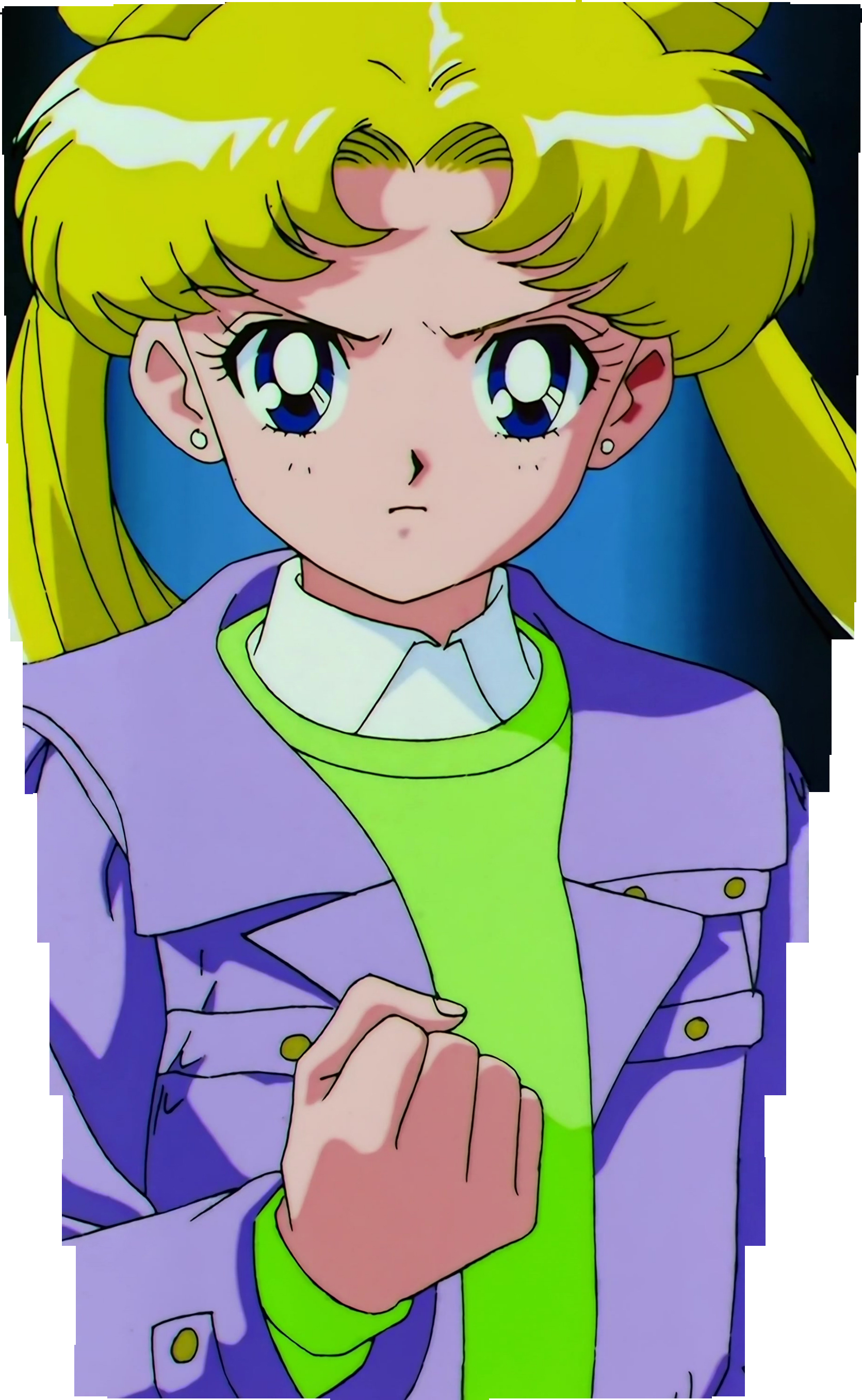Sailor Moon SuperS Stitch 1075.jpg