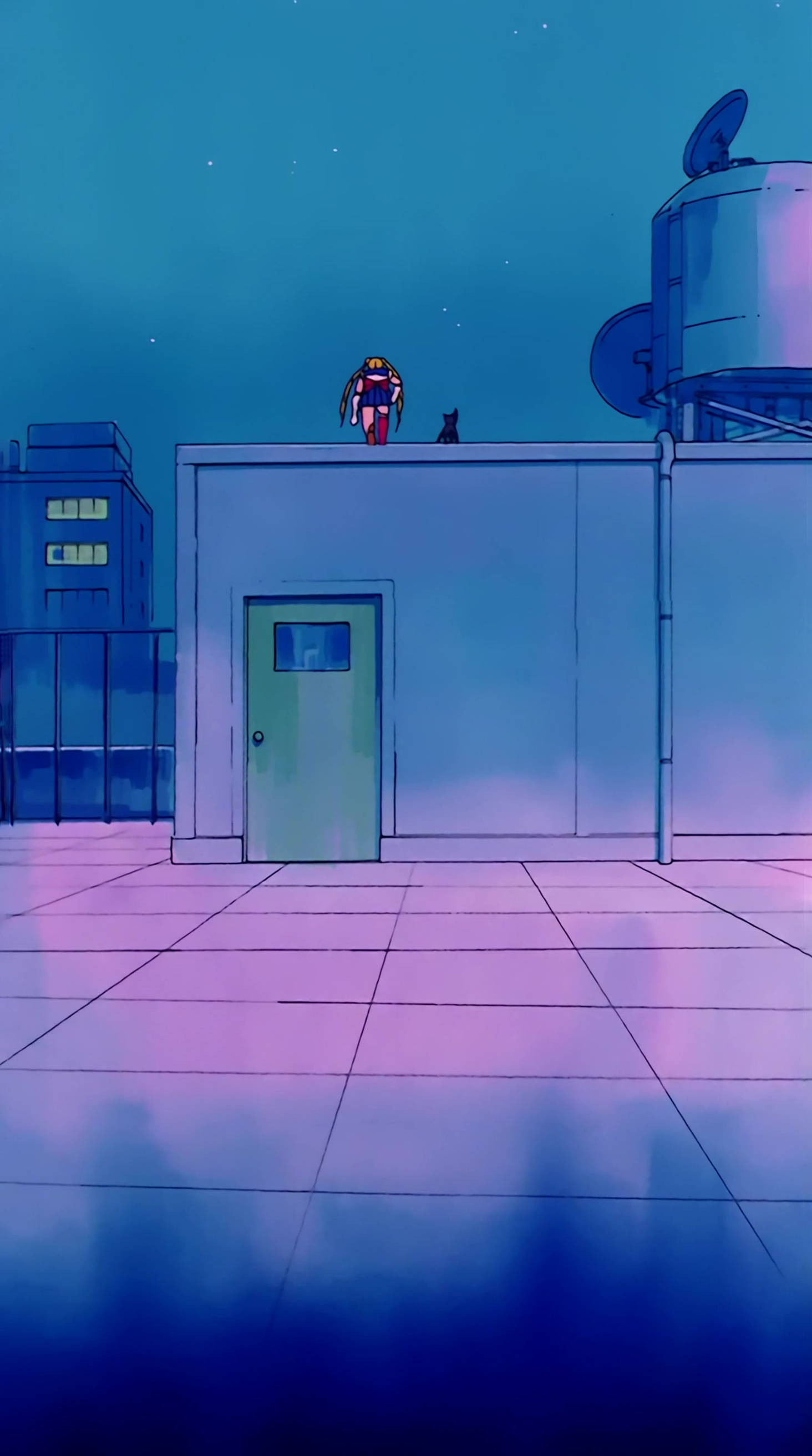Sailor Moon Stitch 0040.jpg