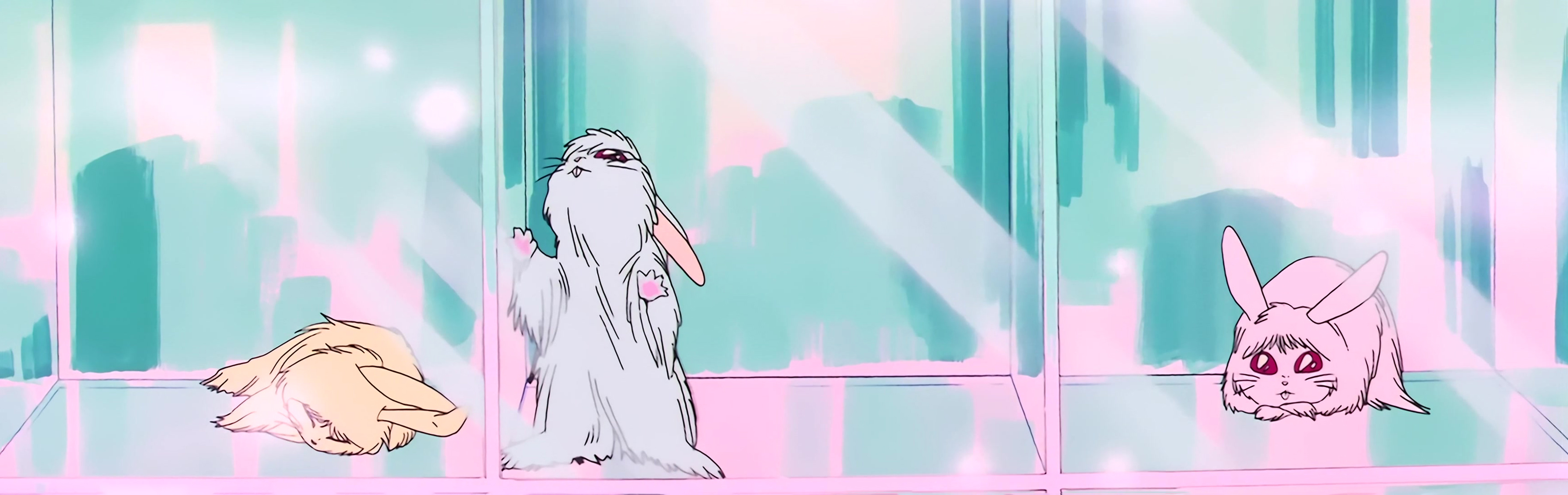 Sailor Moon Stitch 0074.jpg