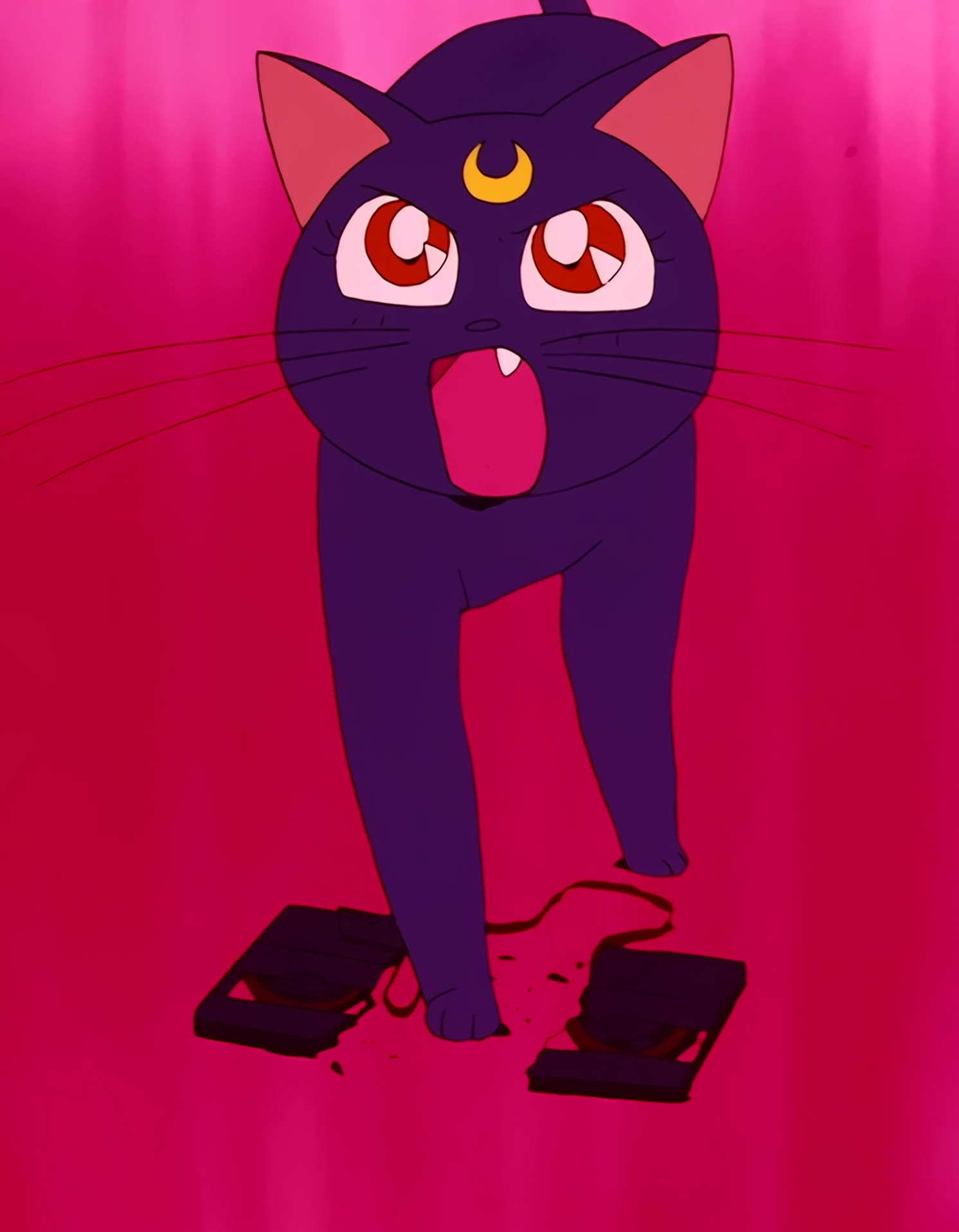 Sailor Moon Stitch 0121.jpg