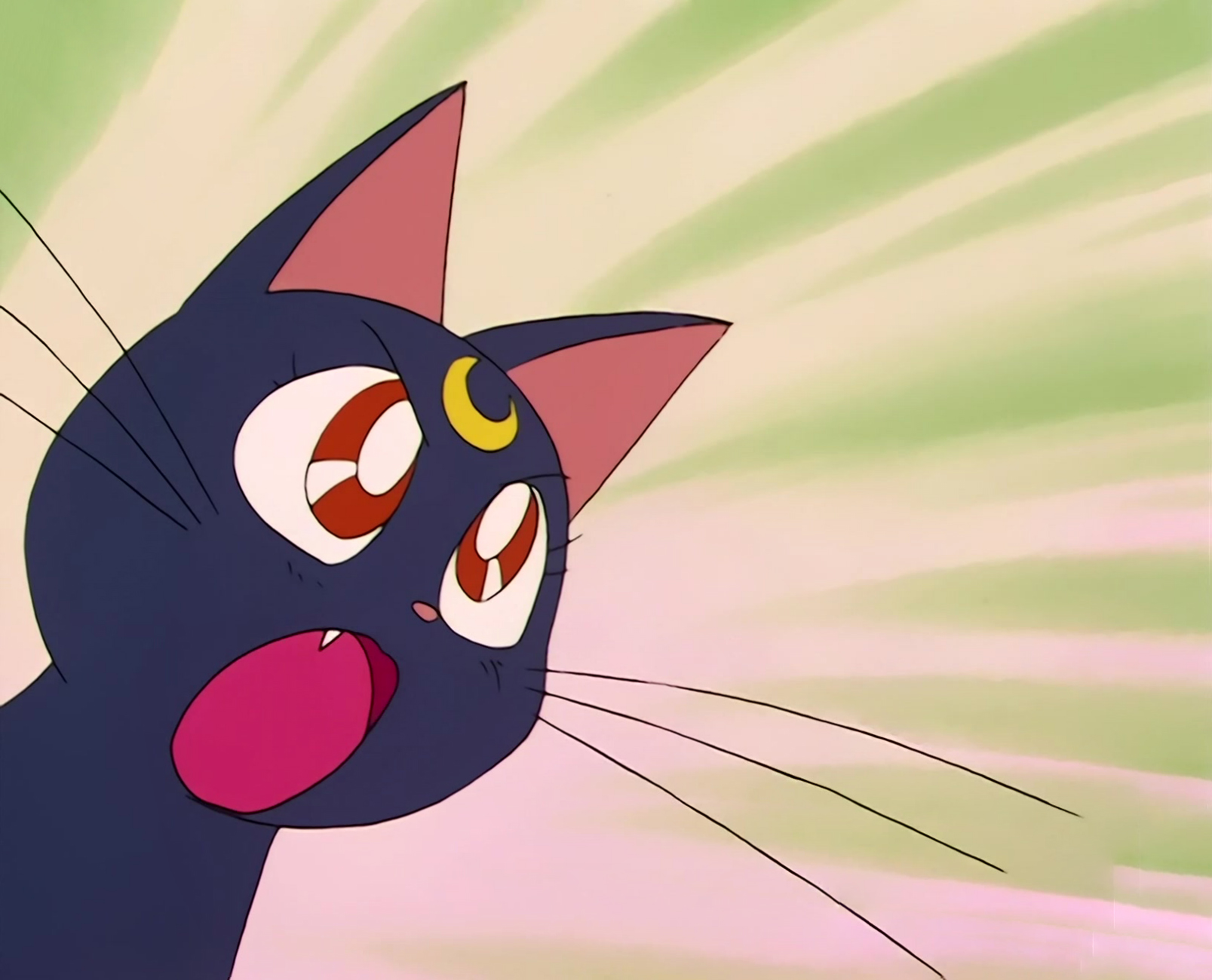 Sailor Moon Stitch 0148.jpg