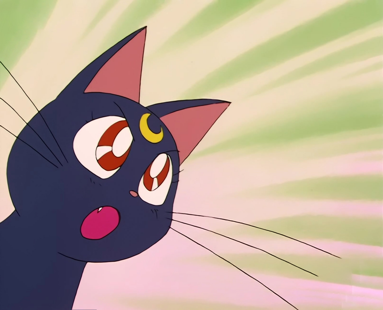 Sailor Moon Stitch 0149.jpg