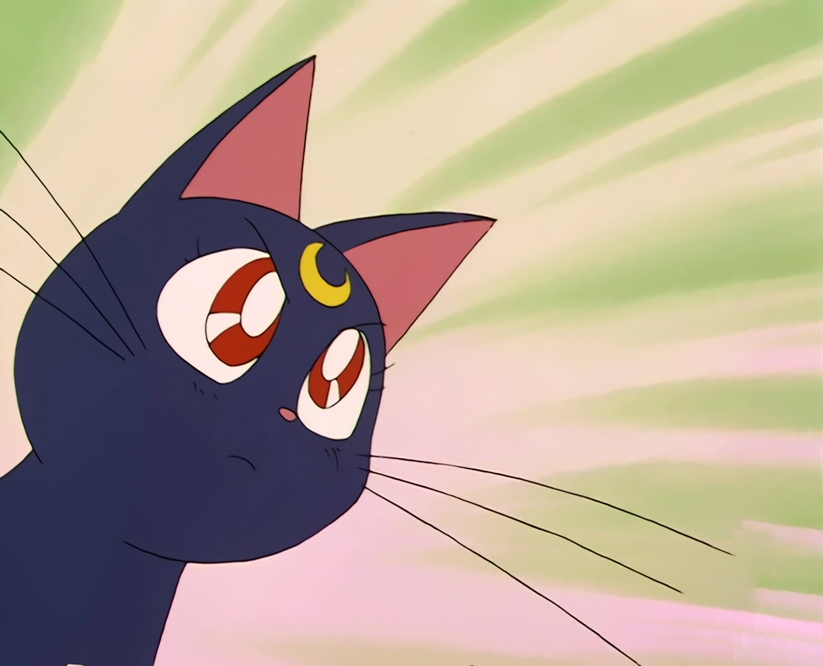 Sailor Moon Stitch 0150.jpg