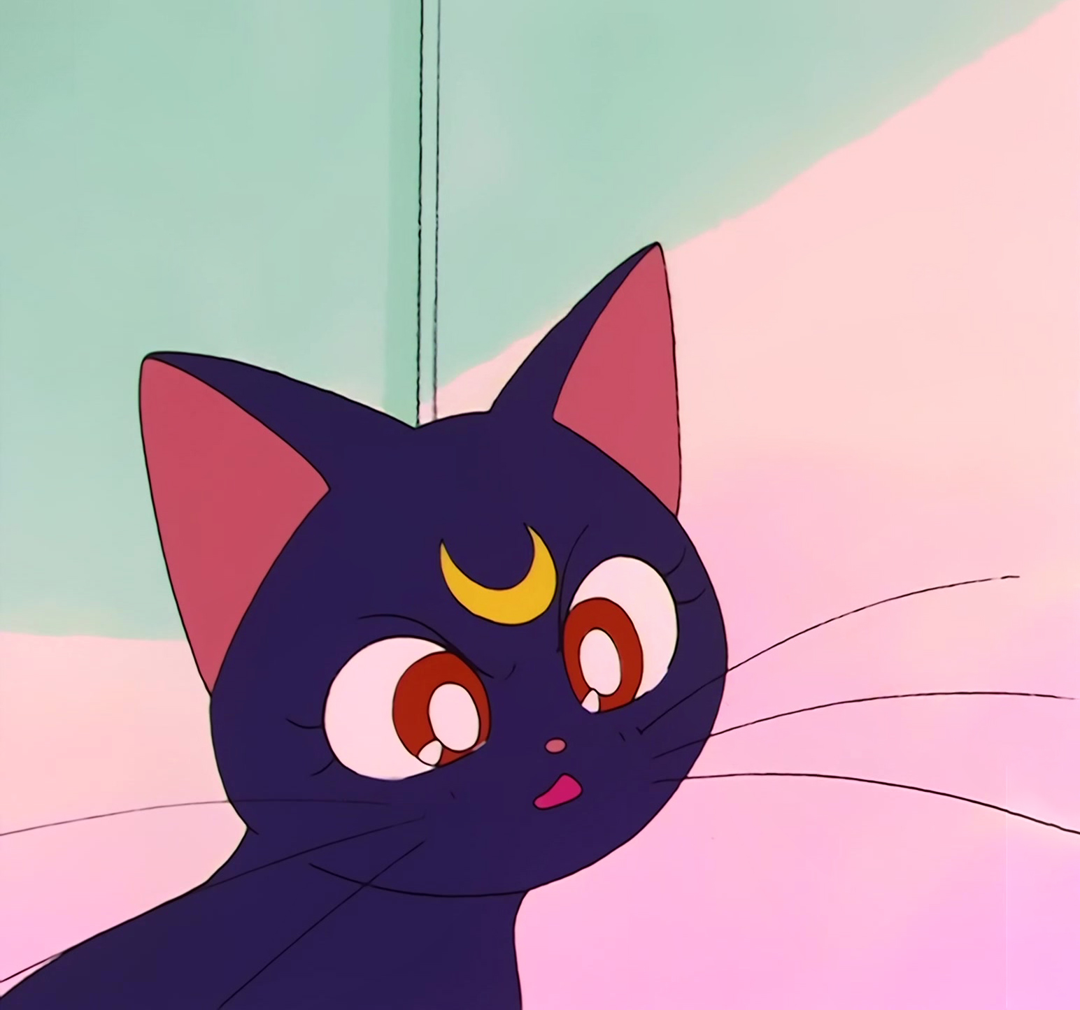 Sailor Moon Stitch 0161.jpg