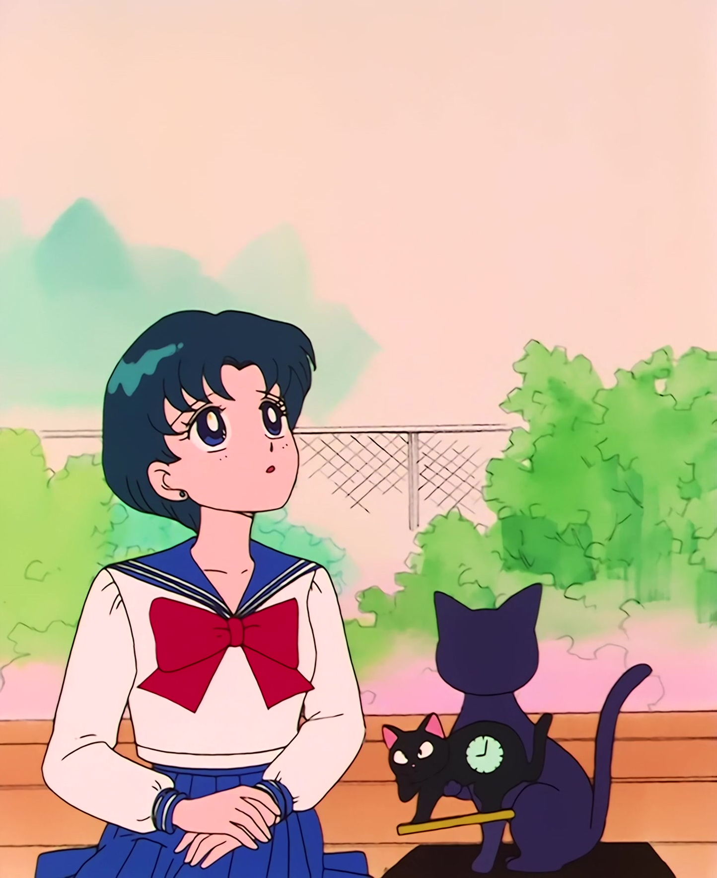 Sailor Moon Stitch 0166.jpg