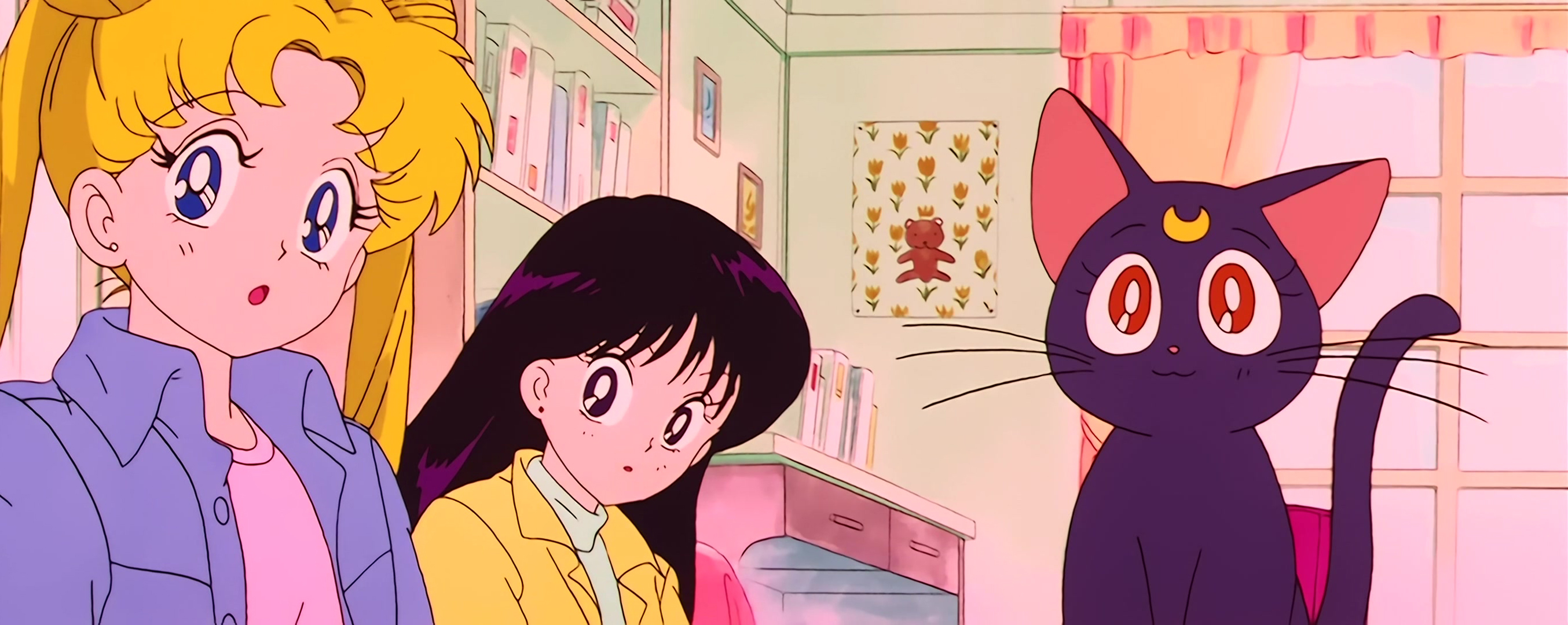 Sailor Moon Stitch 0199.jpg