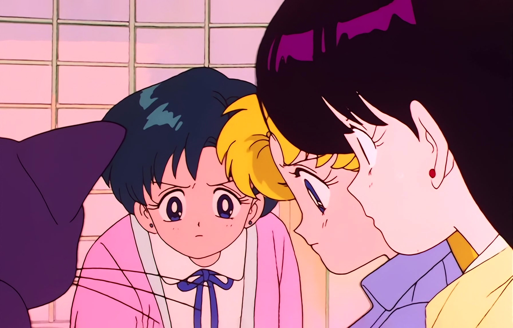 Sailor Moon Stitch 0200.jpg