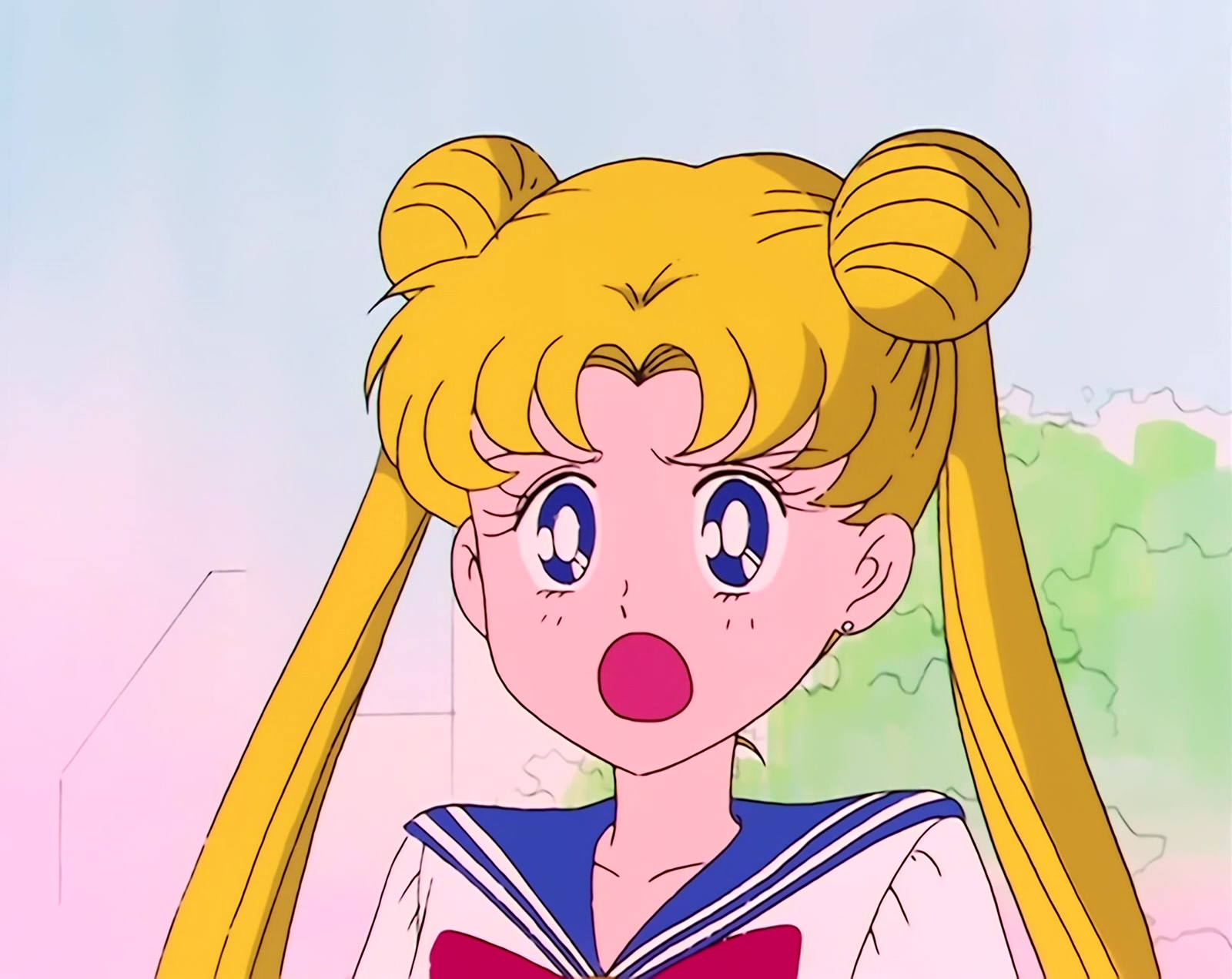 Sailor Moon Stitch 0271.jpg