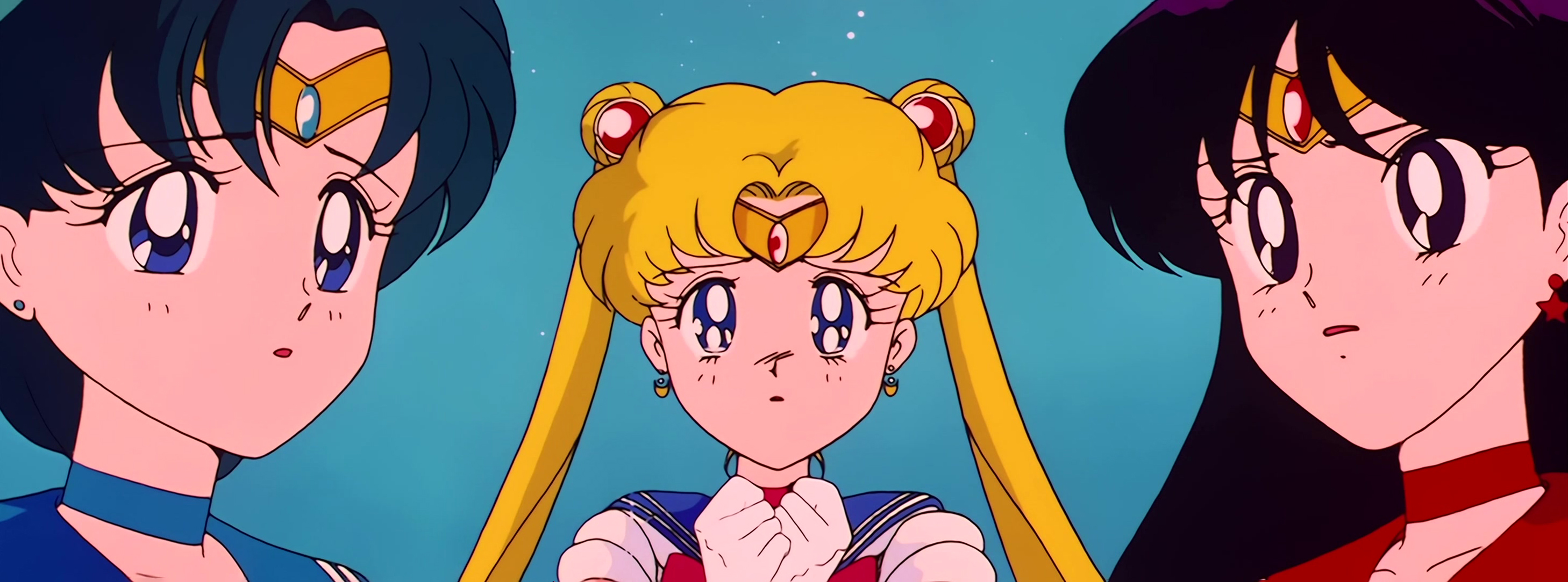 Sailor Moon Stitch 0281.jpg