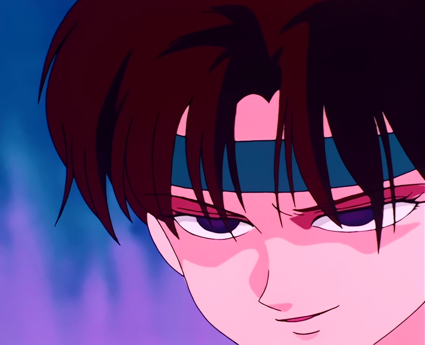 Sailor Moon Stitch 0299.jpg