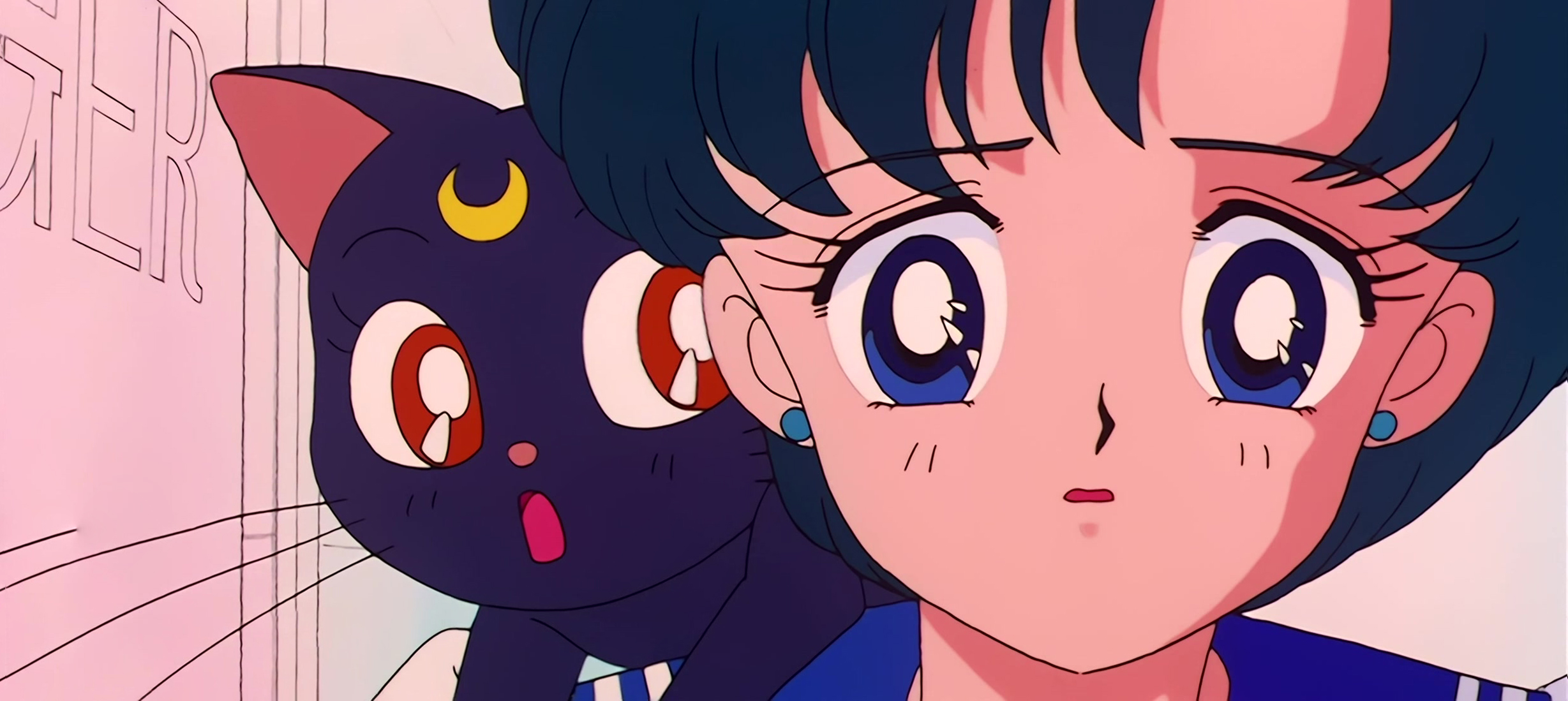 Sailor Moon Stitch 0326.jpg