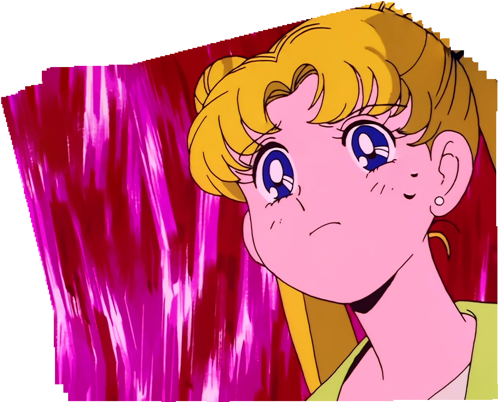 Sailor Moon Stitch 0410.jpg
